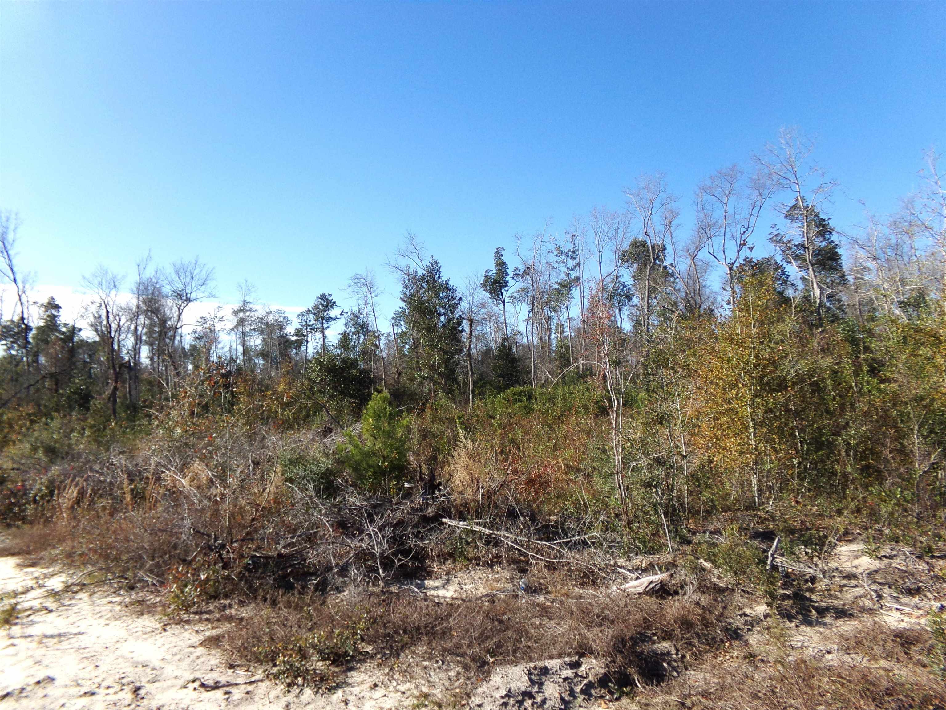 25170 Flanders Grade,ALTHA,Florida 32421,Lots and land,Flanders Grade,367186