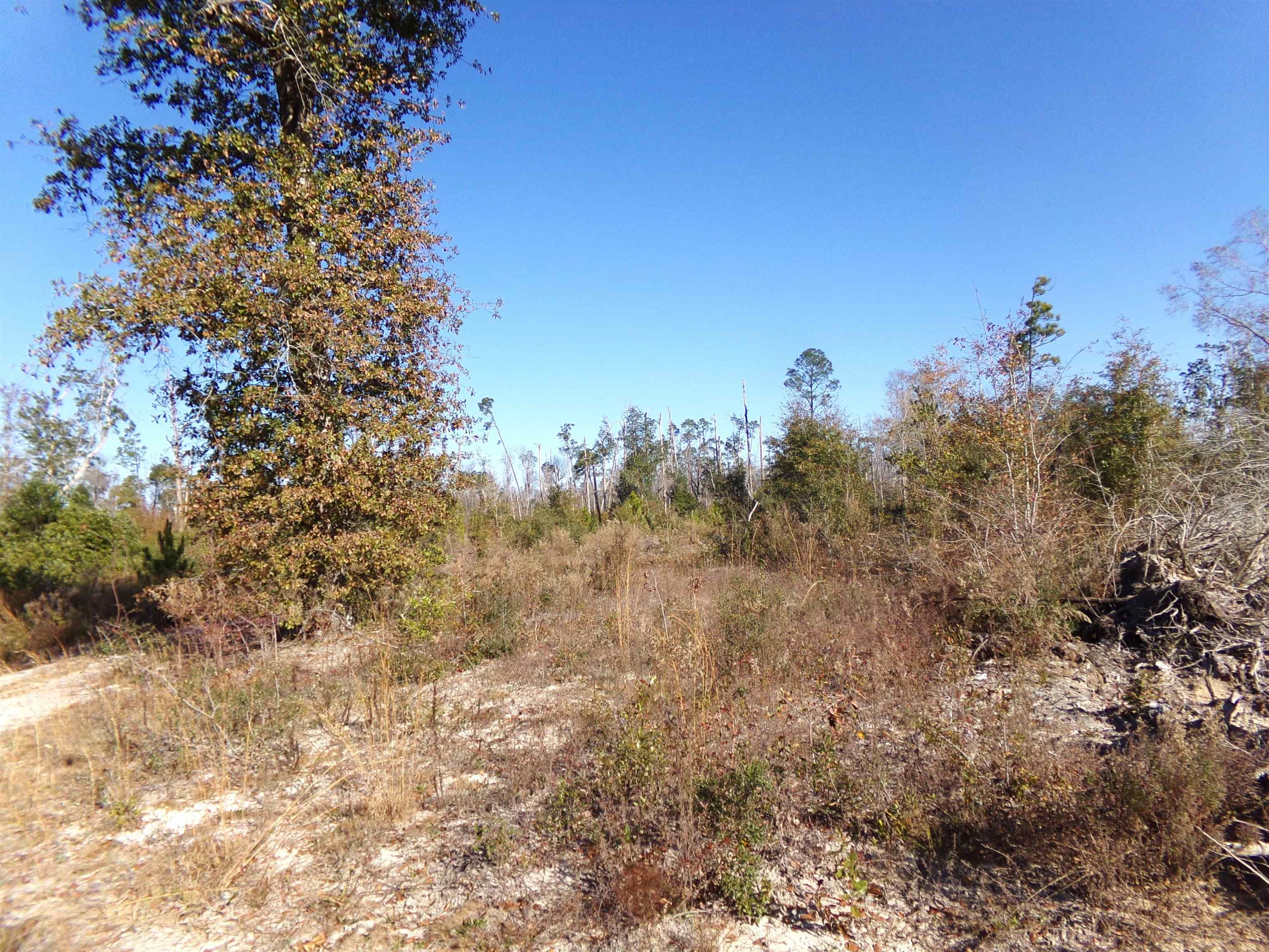 25170 Flanders Grade,ALTHA,Florida 32421,Lots and land,Flanders Grade,367186