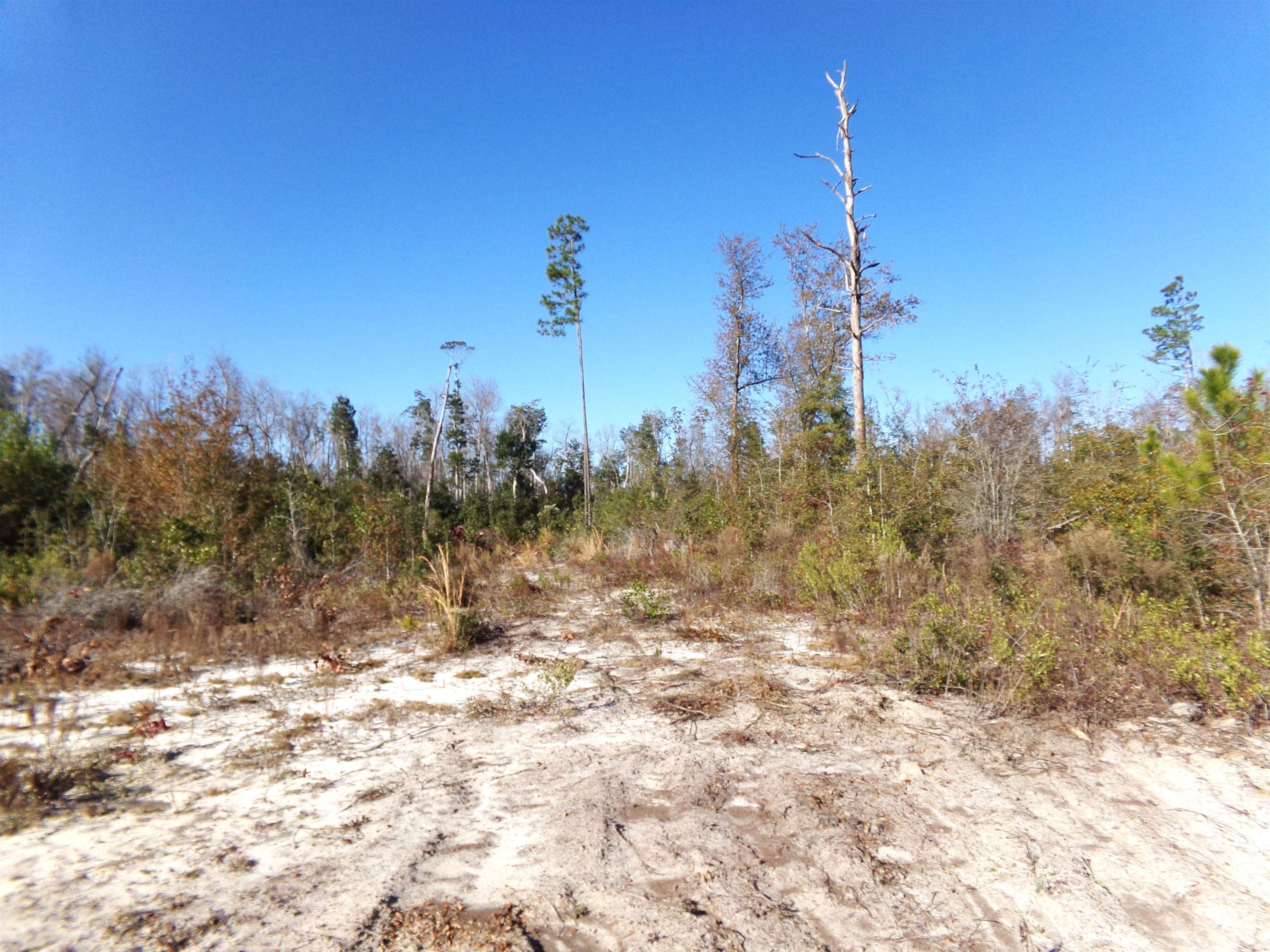 25170 Flanders Grade,ALTHA,Florida 32421,Lots and land,Flanders Grade,367186