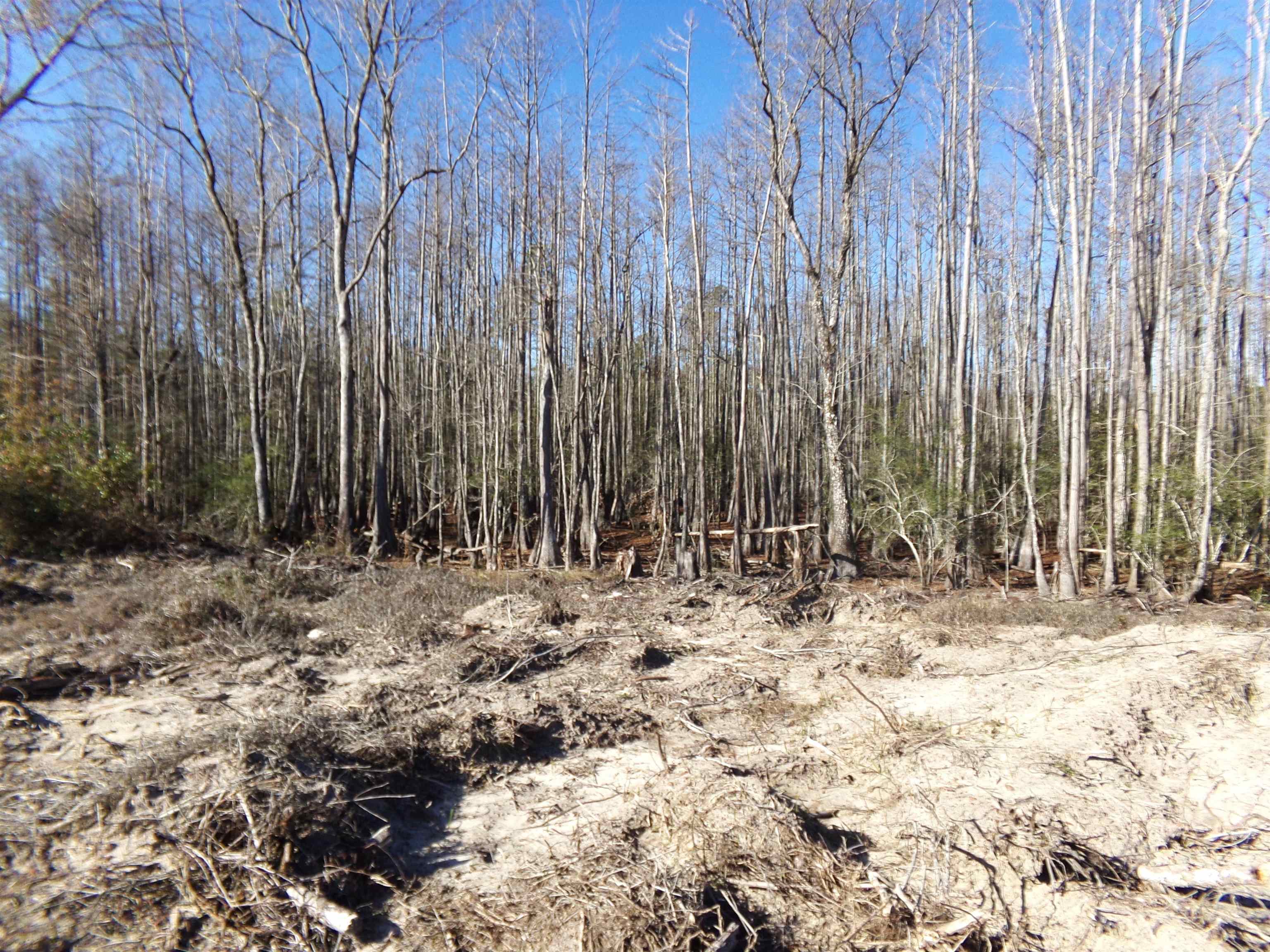 25170 Flanders Grade,ALTHA,Florida 32421,Lots and land,Flanders Grade,367186