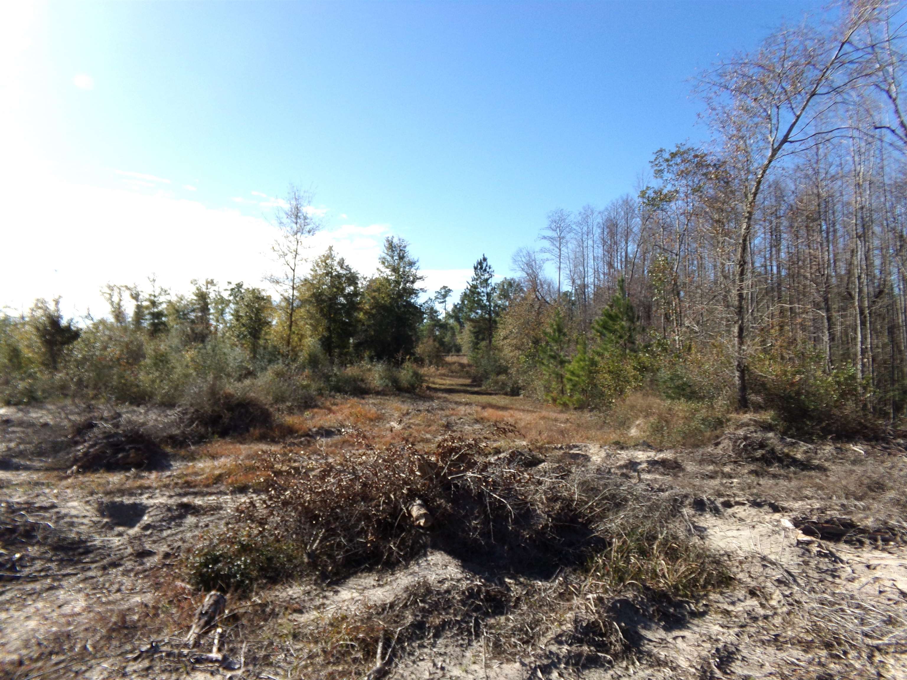 25170 Flanders Grade,ALTHA,Florida 32421,Lots and land,Flanders Grade,367186