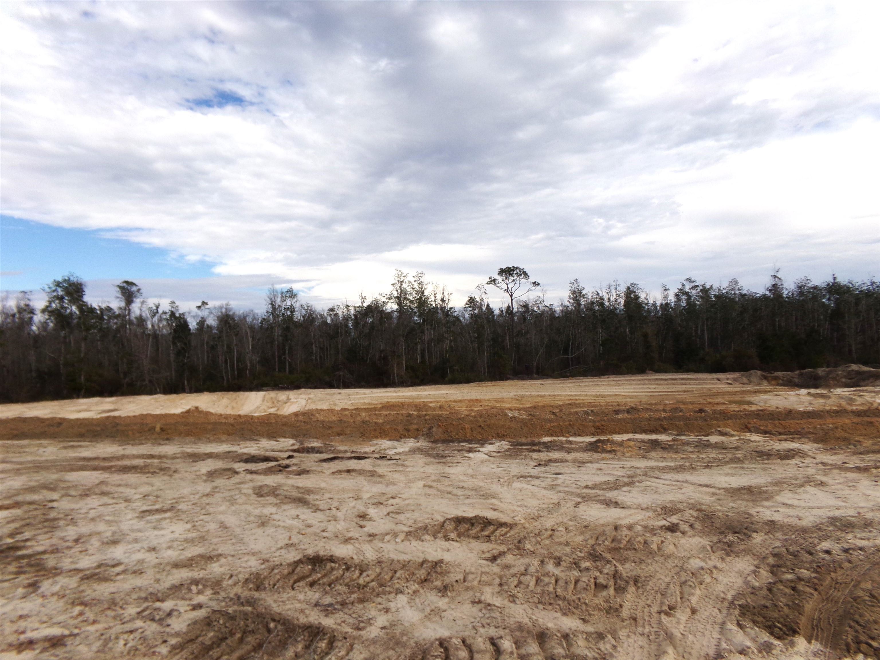 25170 Flanders Grade,ALTHA,Florida 32421,Lots and land,Flanders Grade,367186