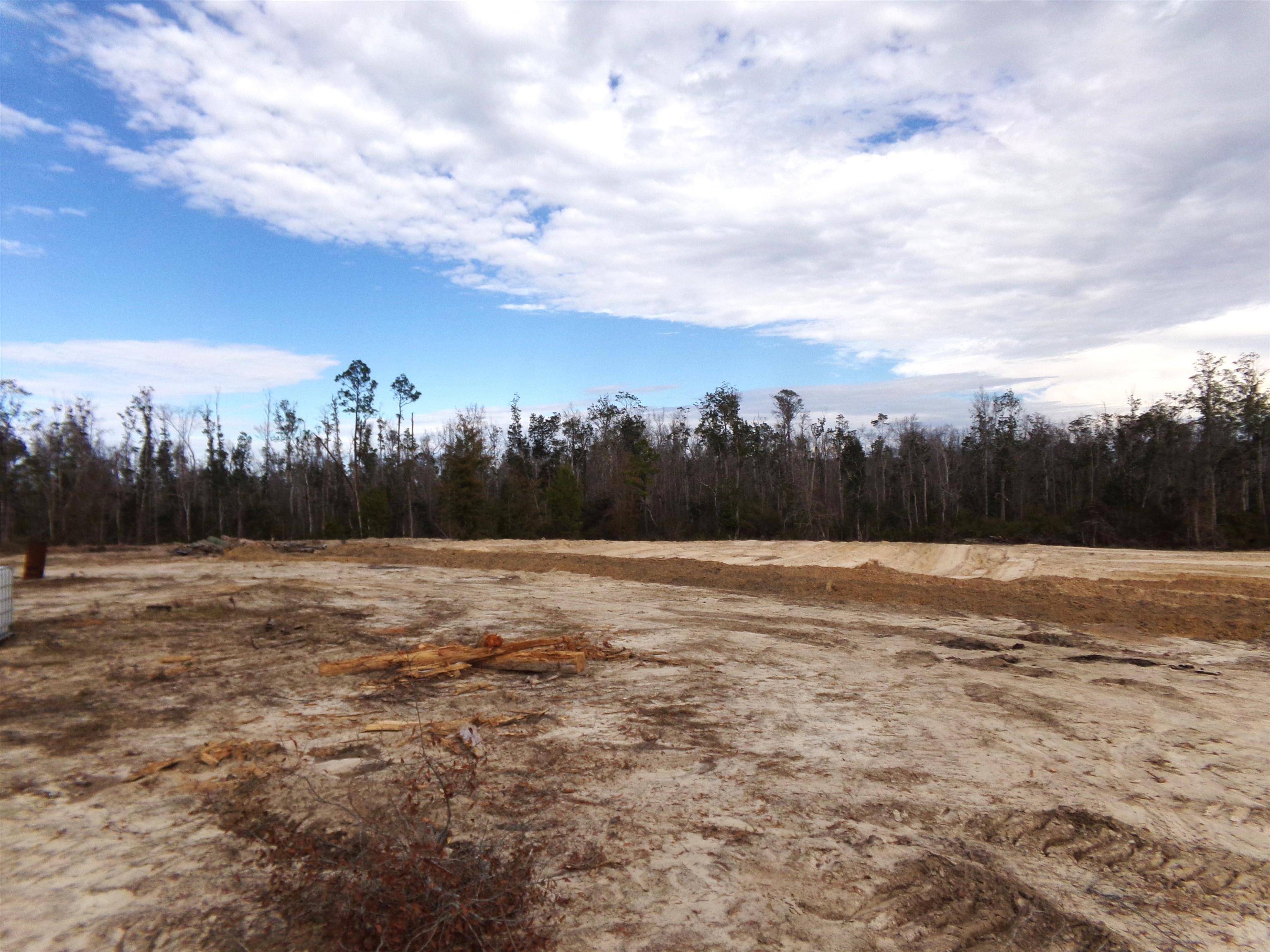 25170 Flanders Grade,ALTHA,Florida 32421,Lots and land,Flanders Grade,367186