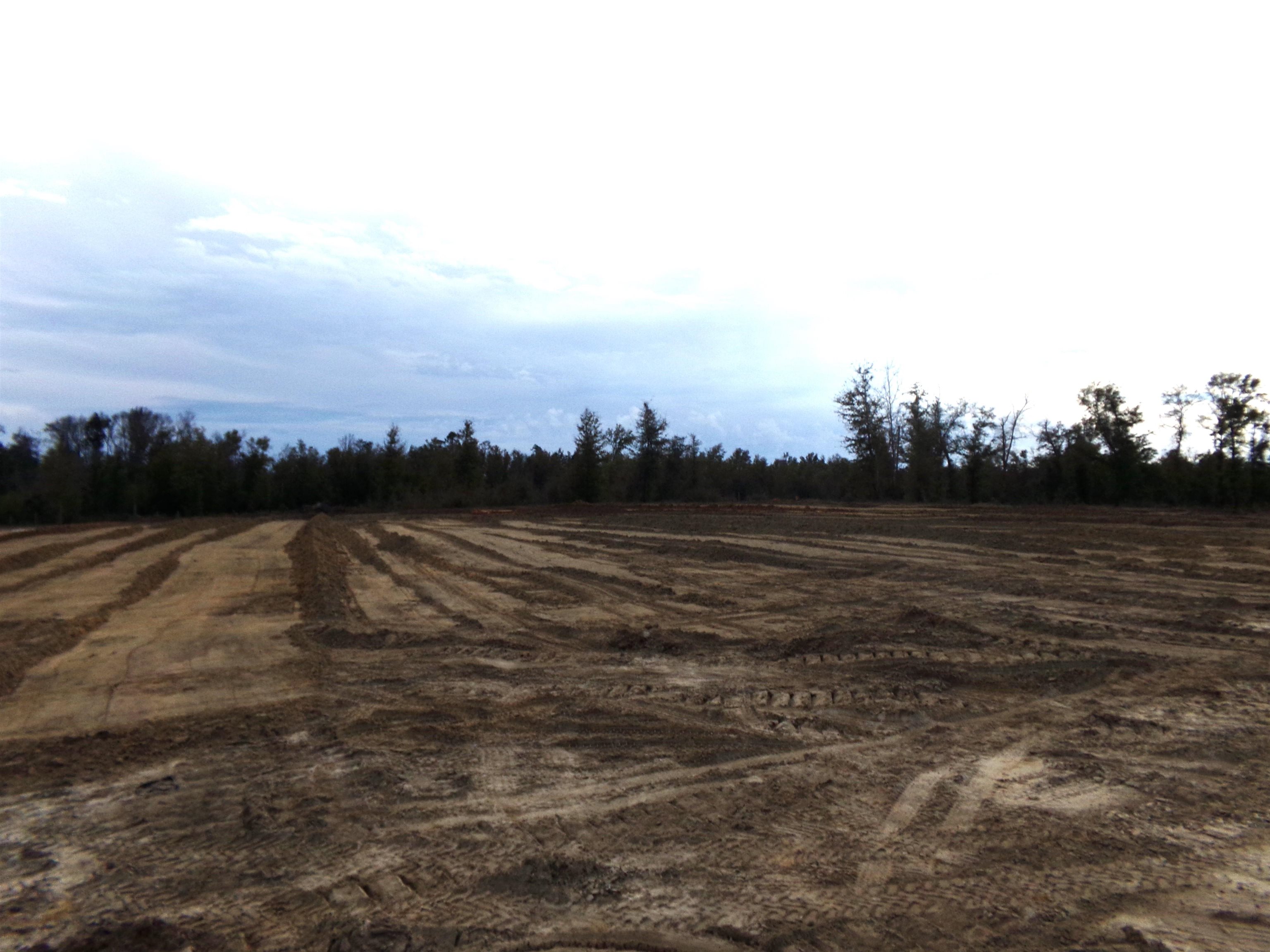 25170 Flanders Grade,ALTHA,Florida 32421,Lots and land,Flanders Grade,367186