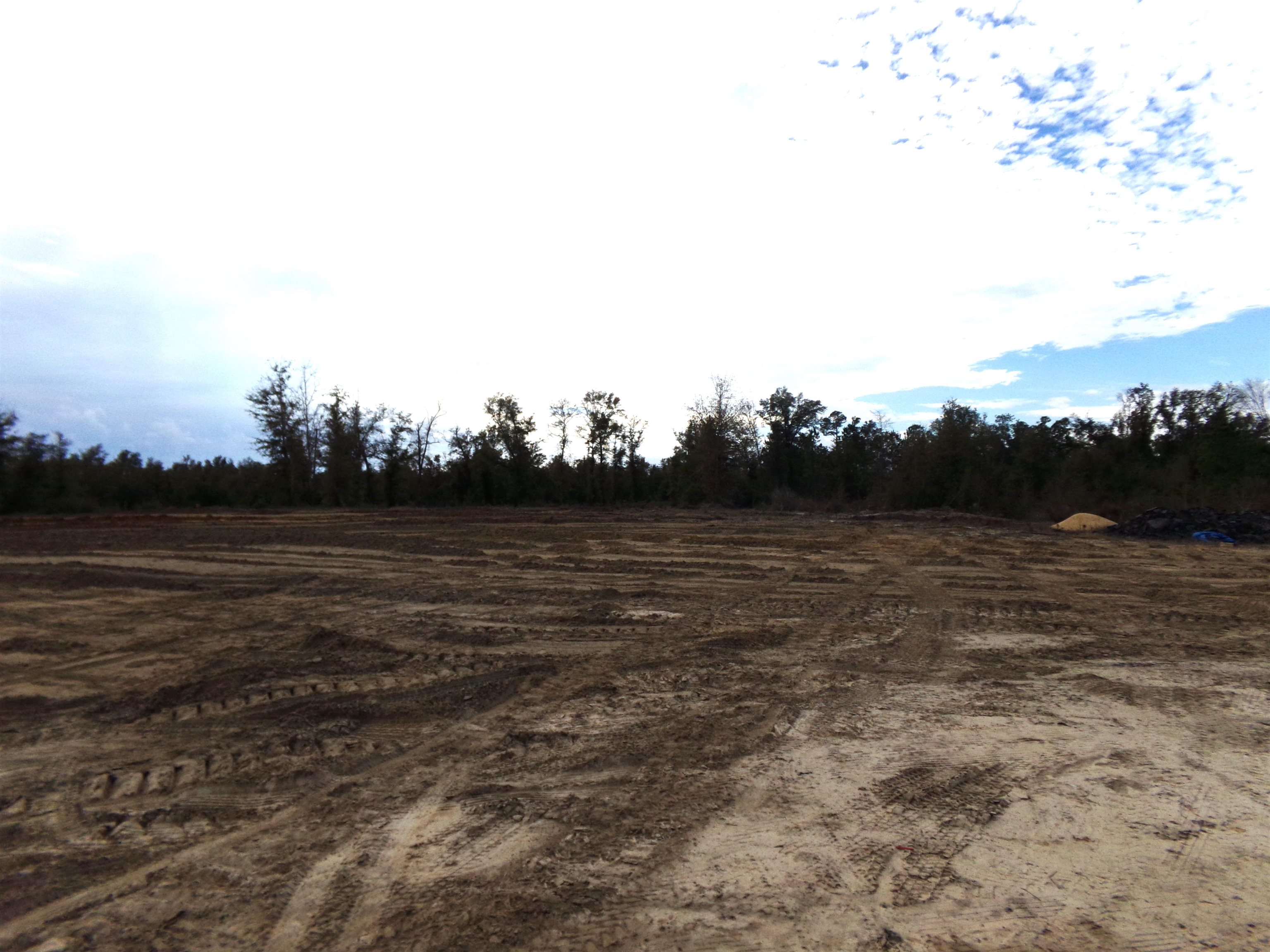 25170 Flanders Grade,ALTHA,Florida 32421,Lots and land,Flanders Grade,367186