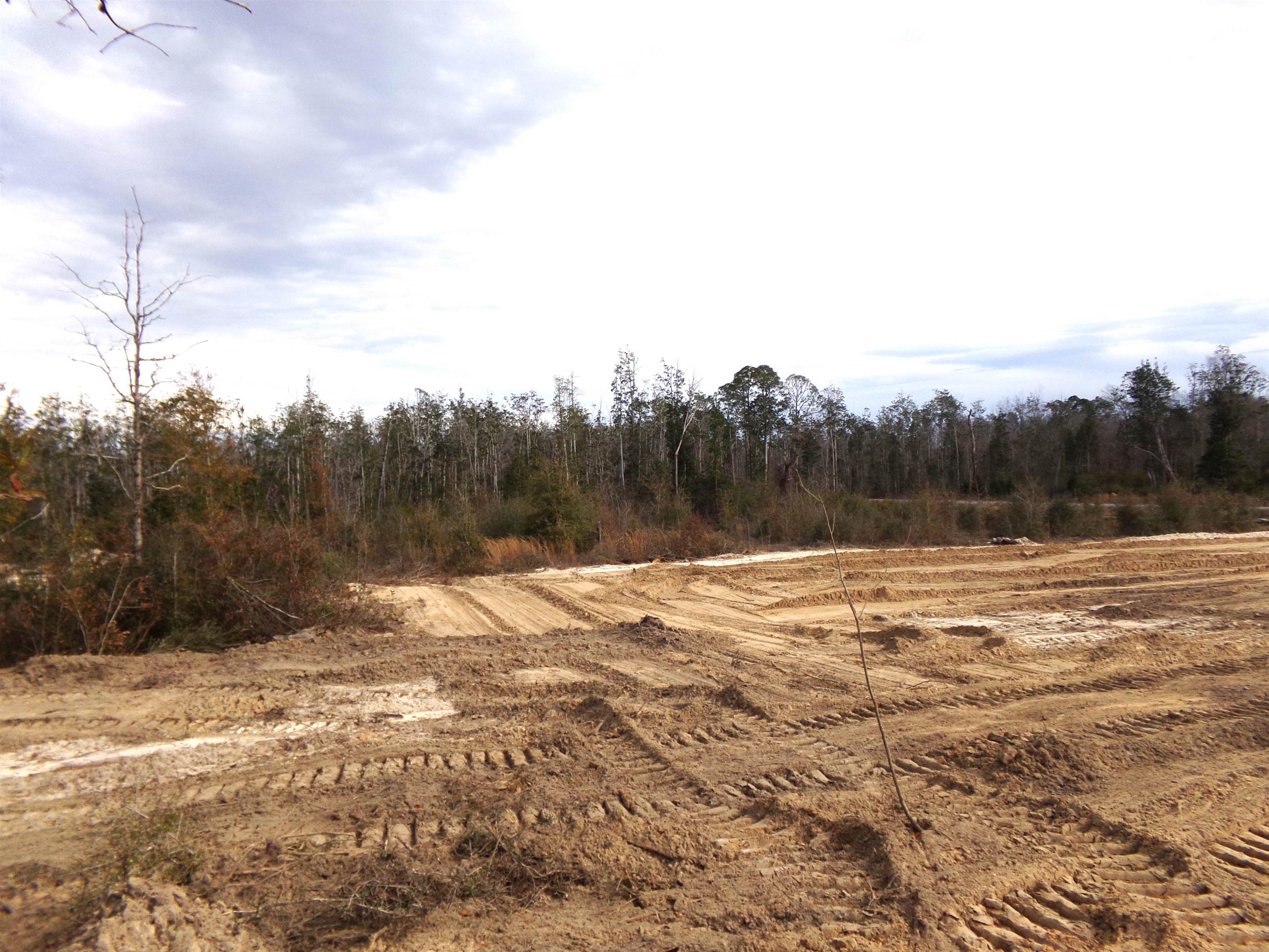 25170 Flanders Grade,ALTHA,Florida 32421,Lots and land,Flanders Grade,367186