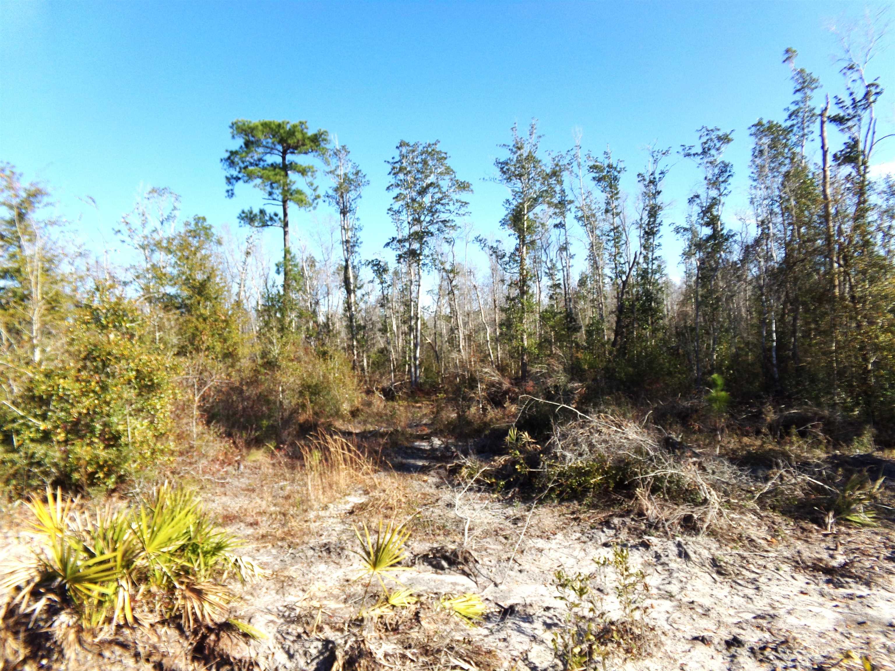 25170 Flanders Grade,ALTHA,Florida 32421,Lots and land,Flanders Grade,367186