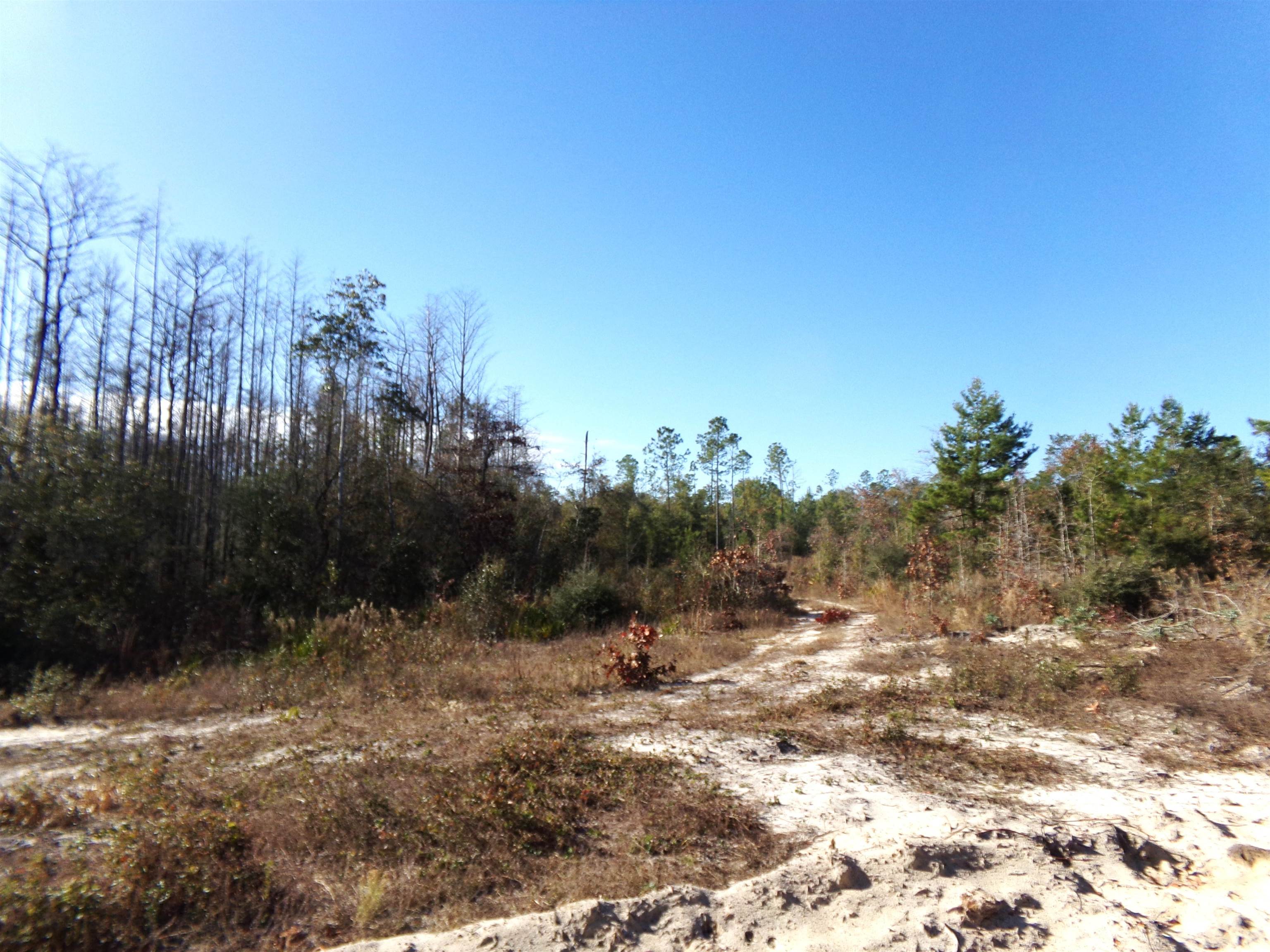 25170 Flanders Grade,ALTHA,Florida 32421,Lots and land,Flanders Grade,367186