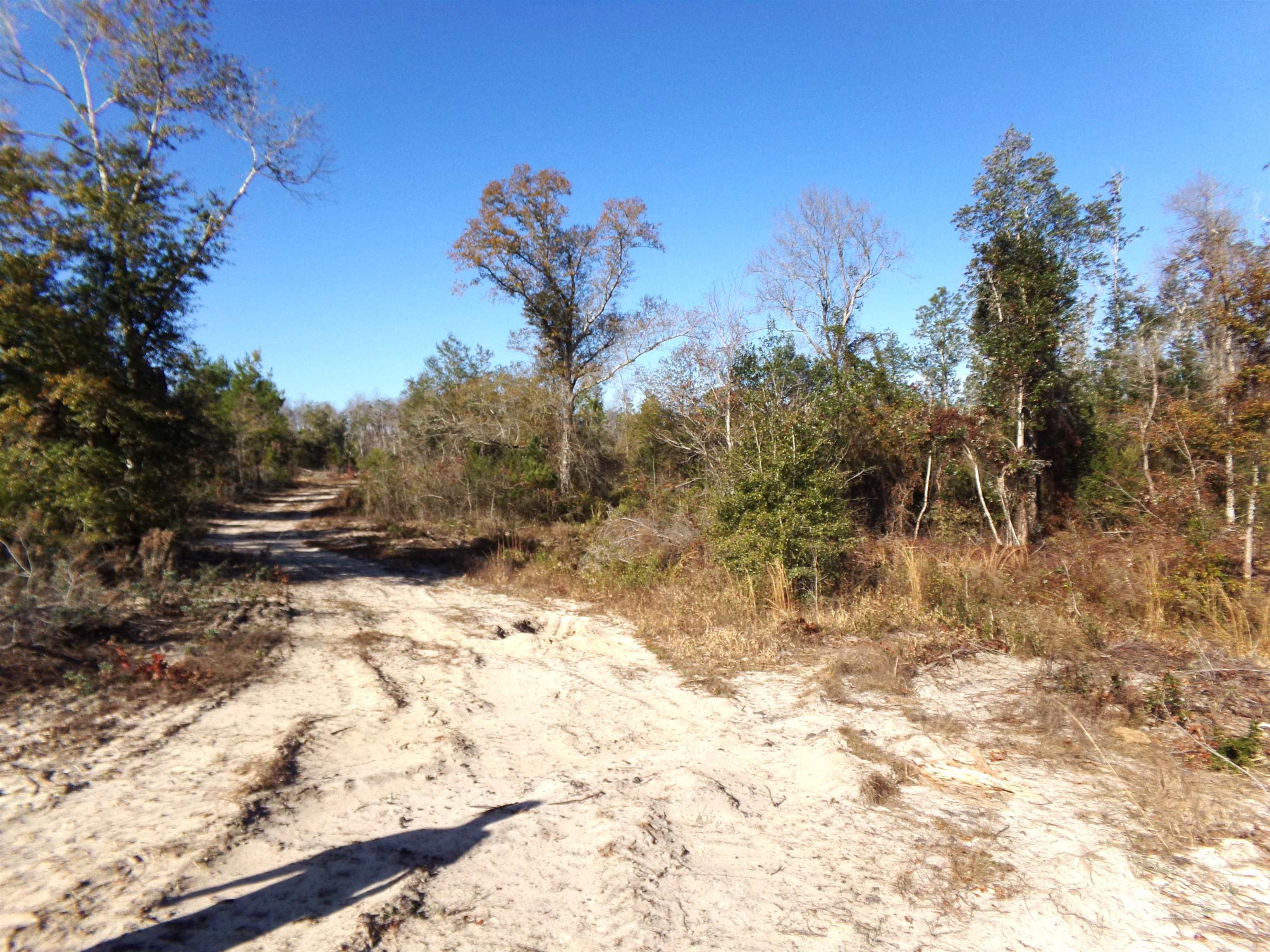 25170 Flanders Grade,ALTHA,Florida 32421,Lots and land,Flanders Grade,367186