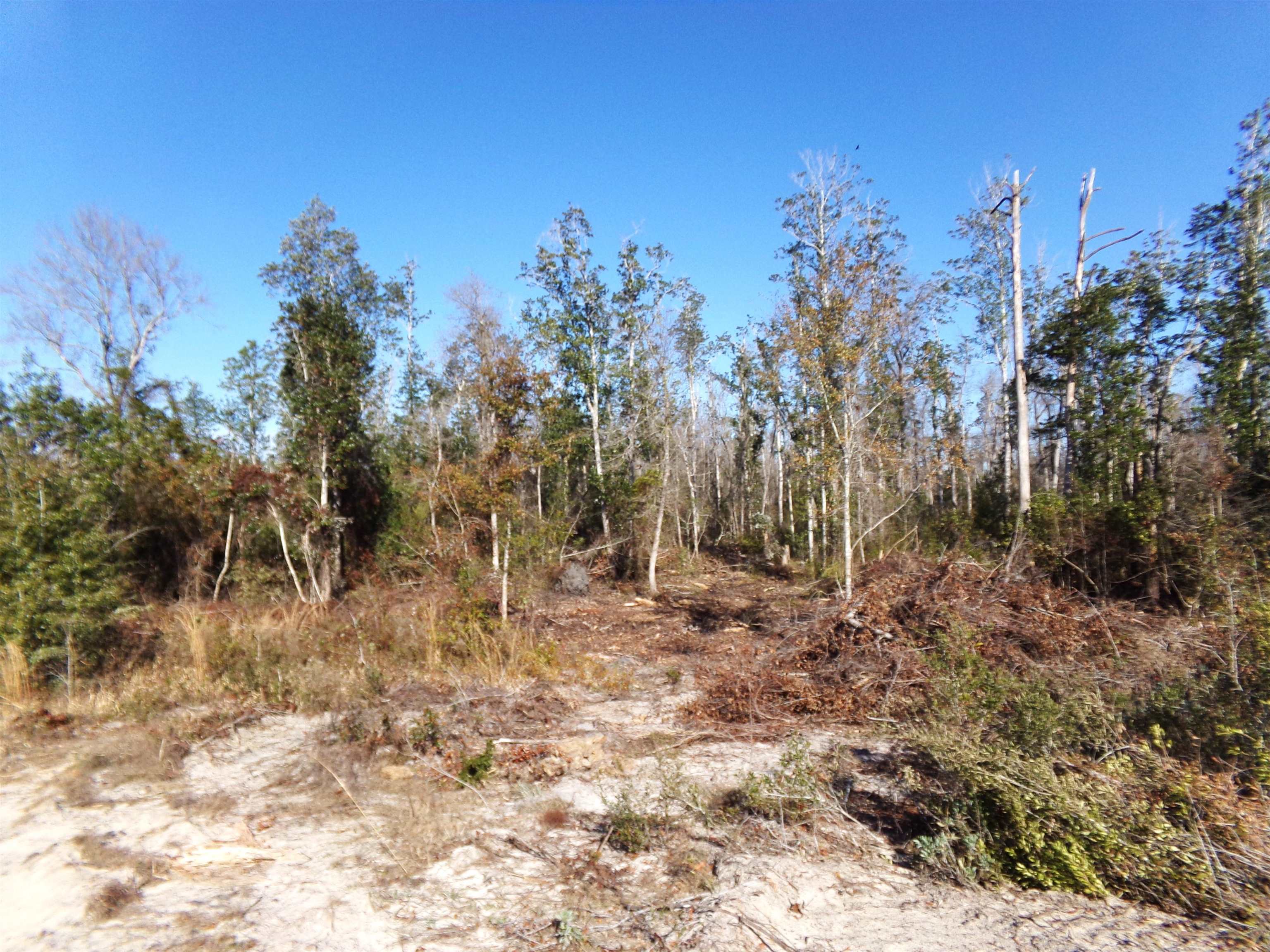 25170 Flanders Grade,ALTHA,Florida 32421,Lots and land,Flanders Grade,367186