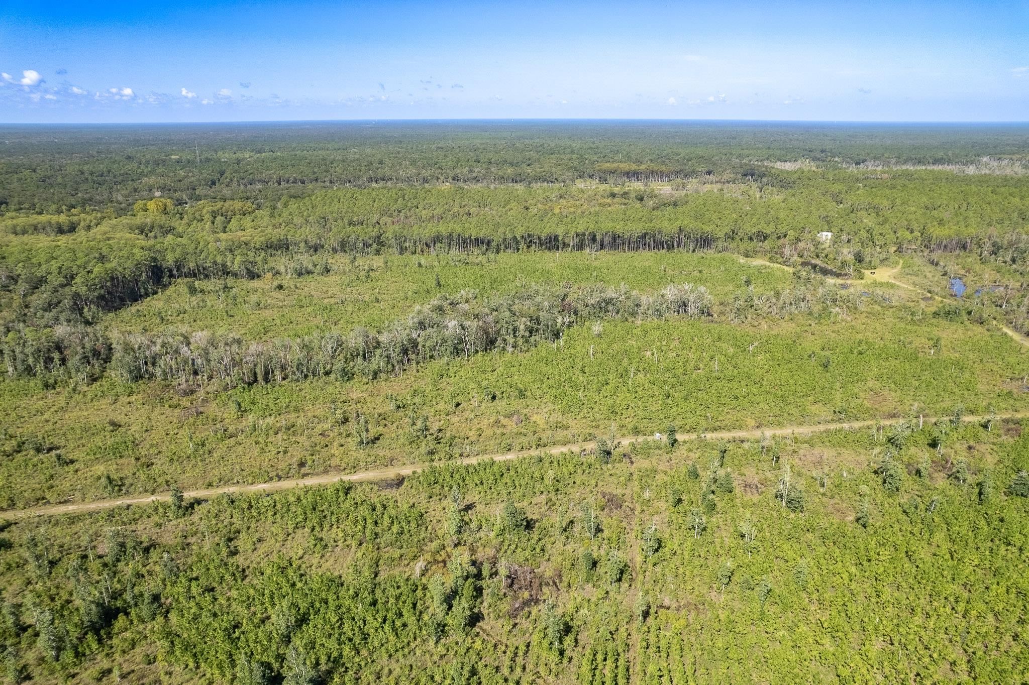 Lot 2 Growing Timbers,CRAWFORDVILLE,Florida 32327,Lots and land,Growing Timbers,363220