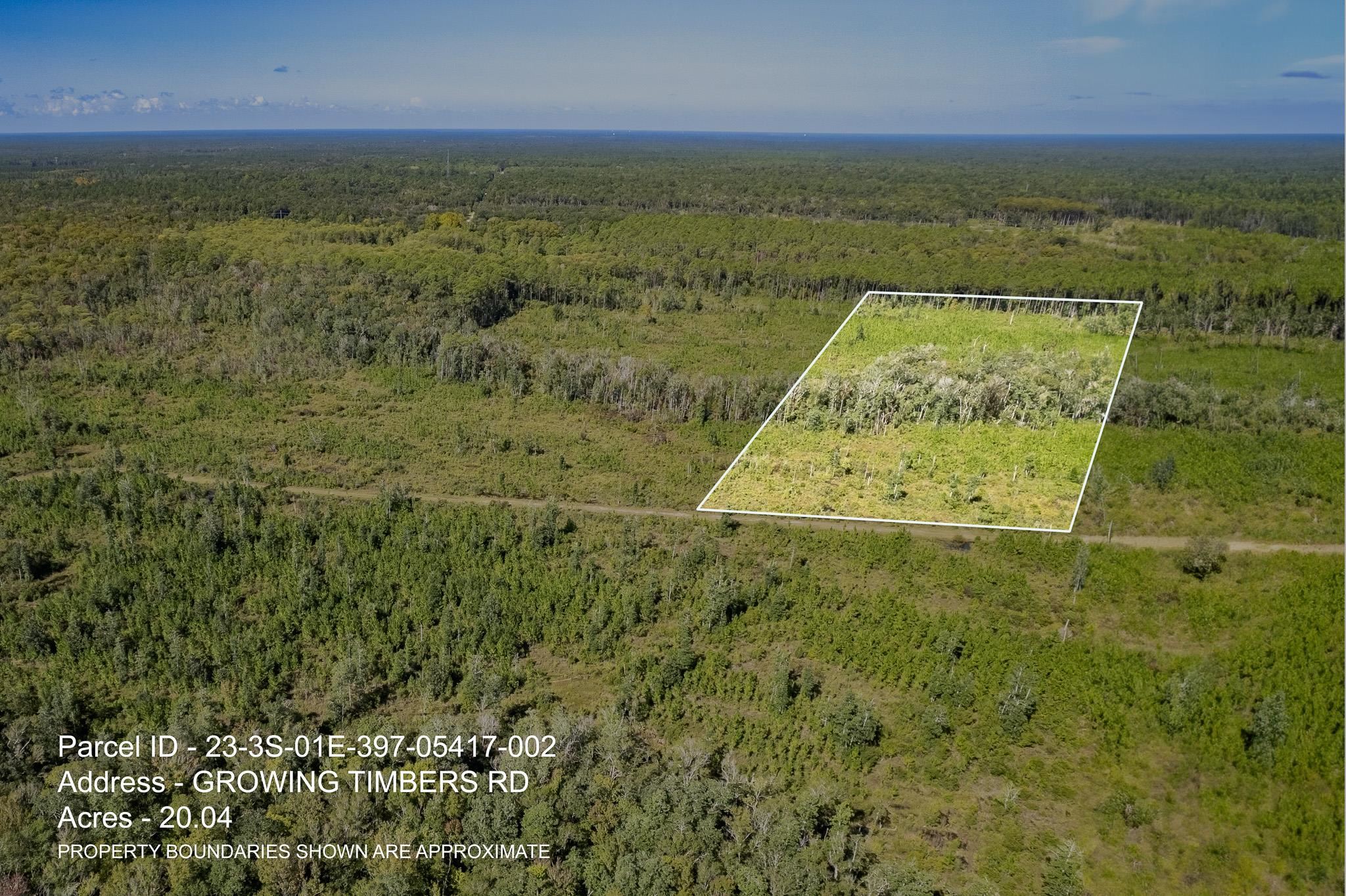 Lot 2 Growing Timbers,CRAWFORDVILLE,Florida 32327,Lots and land,Growing Timbers,363220