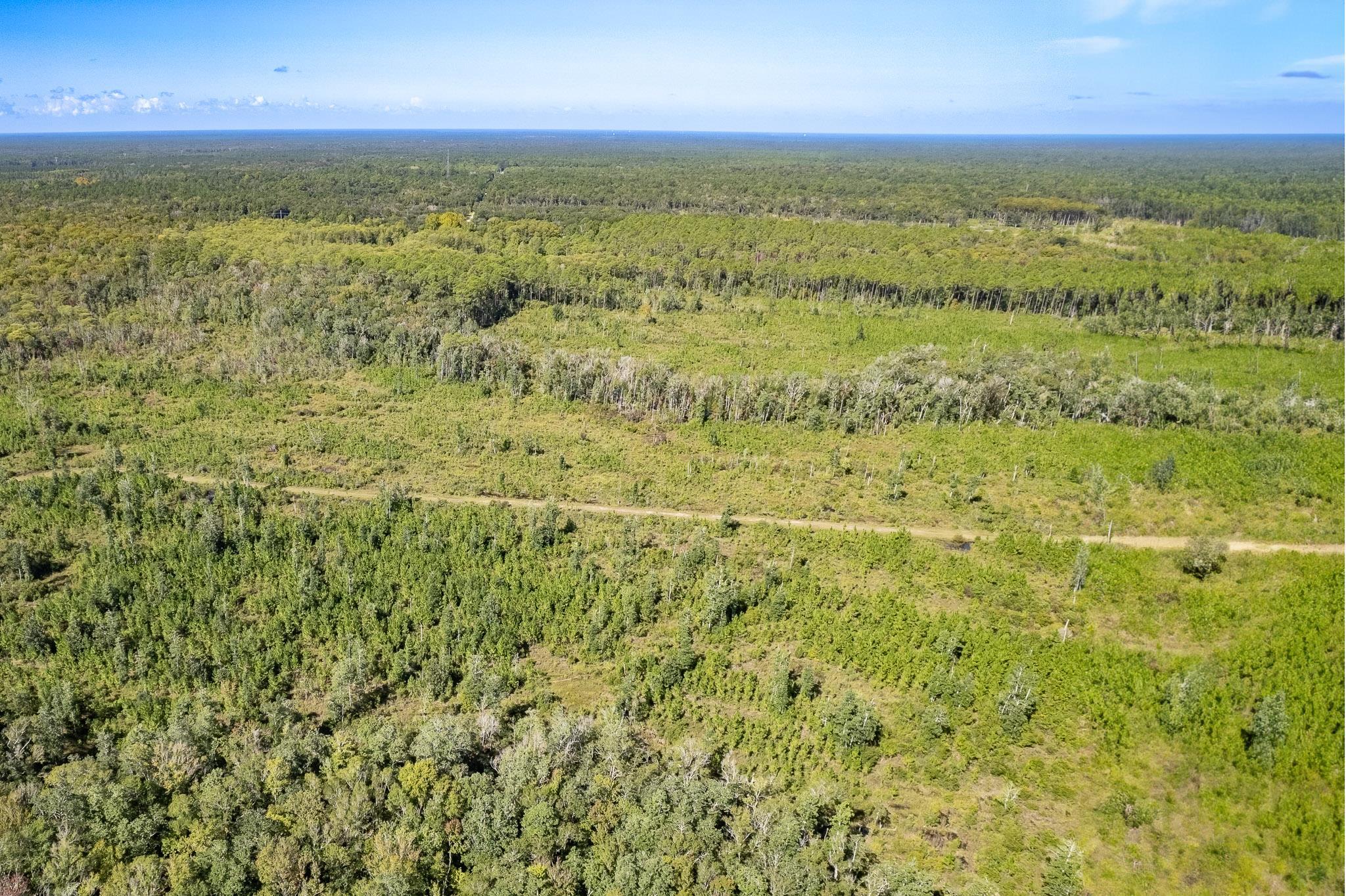 Lot 2 Growing Timbers,CRAWFORDVILLE,Florida 32327,Lots and land,Growing Timbers,363220