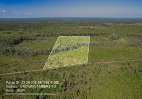 Lot 2 Growing Timbers,CRAWFORDVILLE,Florida 32327,Lots and land,Growing Timbers,363220