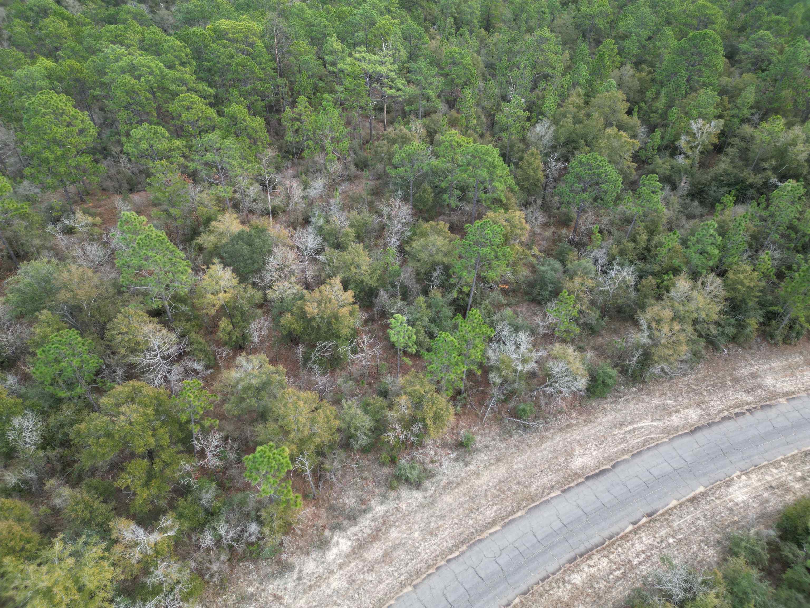 Amherst,CHIPLEY,Florida 32428,Lots and land,Amherst,367190