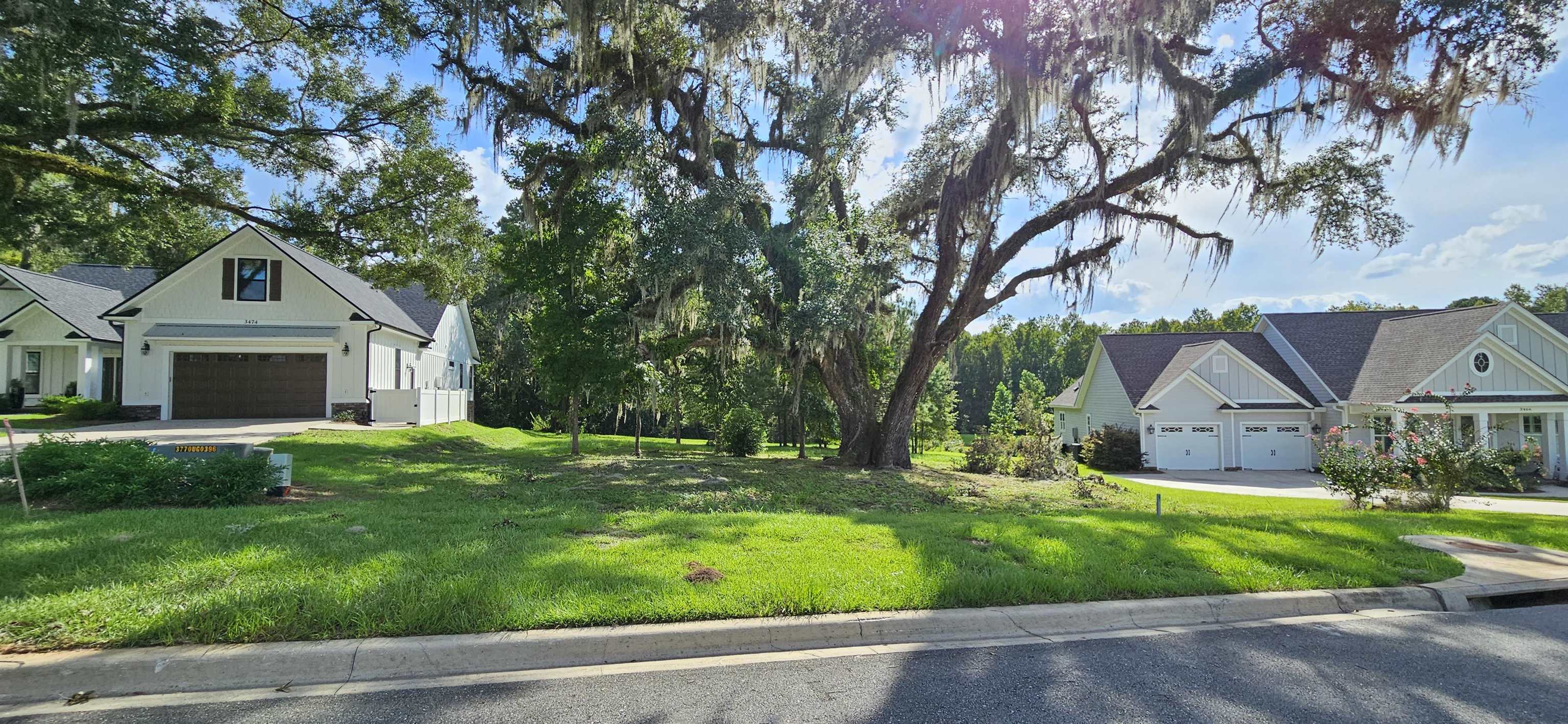 Scarlet Sage,TALLAHASSEE,Florida 32311,Lots and land,Scarlet Sage,369391