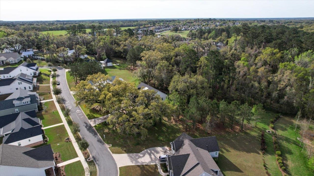 Scarlet Sage,TALLAHASSEE,Florida 32311,Lots and land,Scarlet Sage,369391