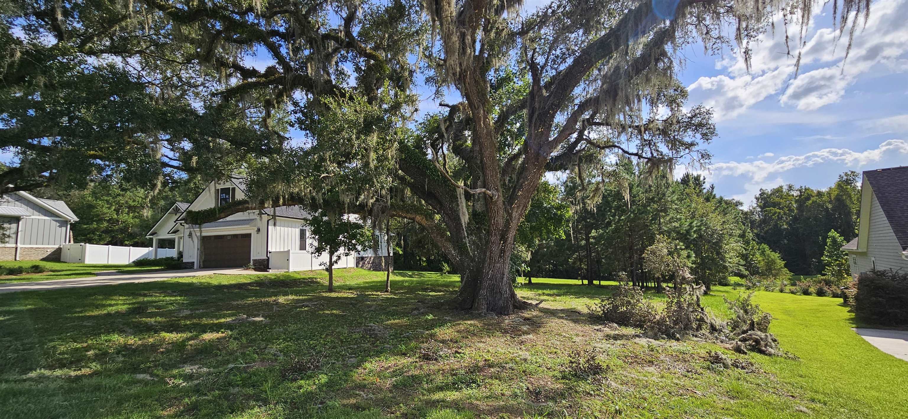 Scarlet Sage,TALLAHASSEE,Florida 32311,Lots and land,Scarlet Sage,369391