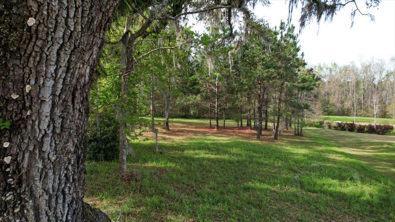 Scarlet Sage,TALLAHASSEE,Florida 32311,Lots and land,Scarlet Sage,369391