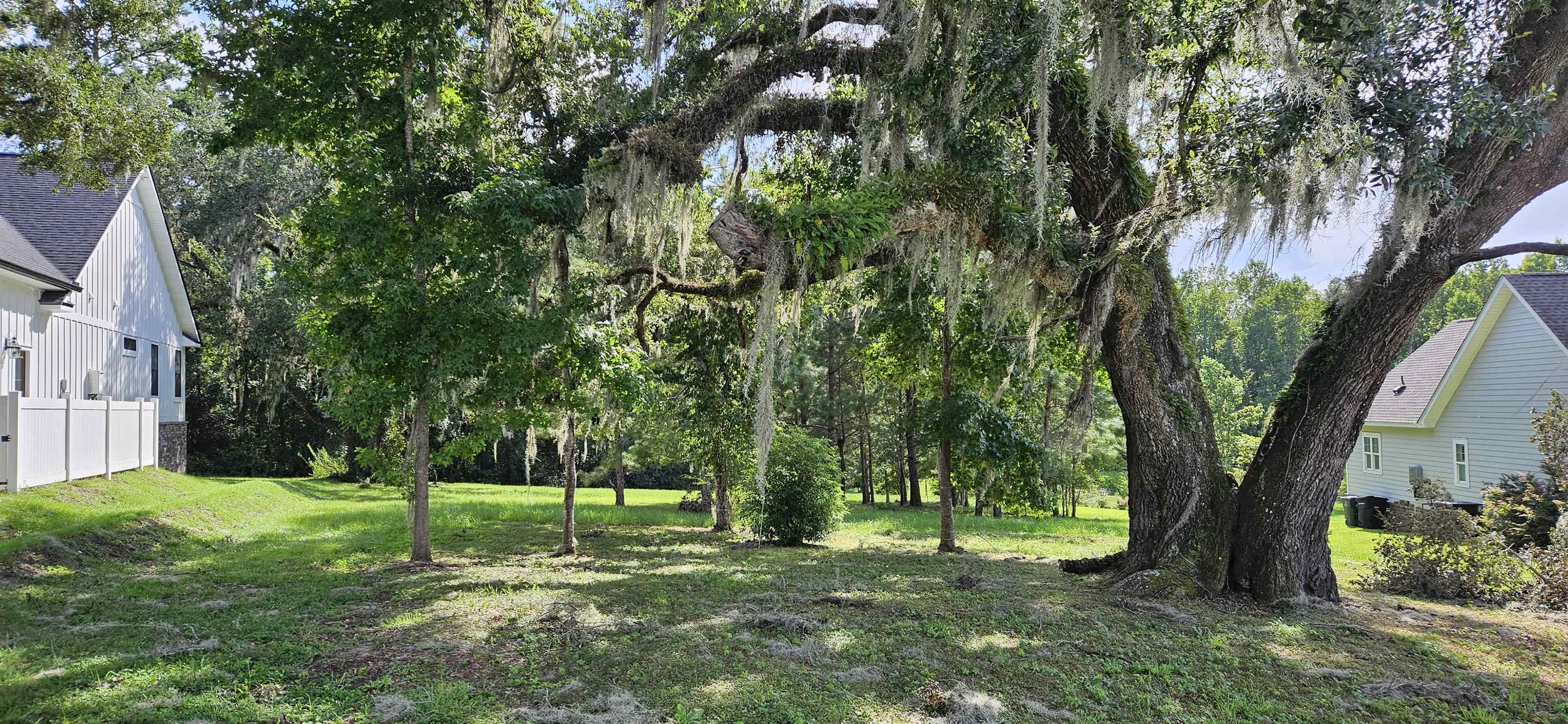 Scarlet Sage,TALLAHASSEE,Florida 32311,Lots and land,Scarlet Sage,369391