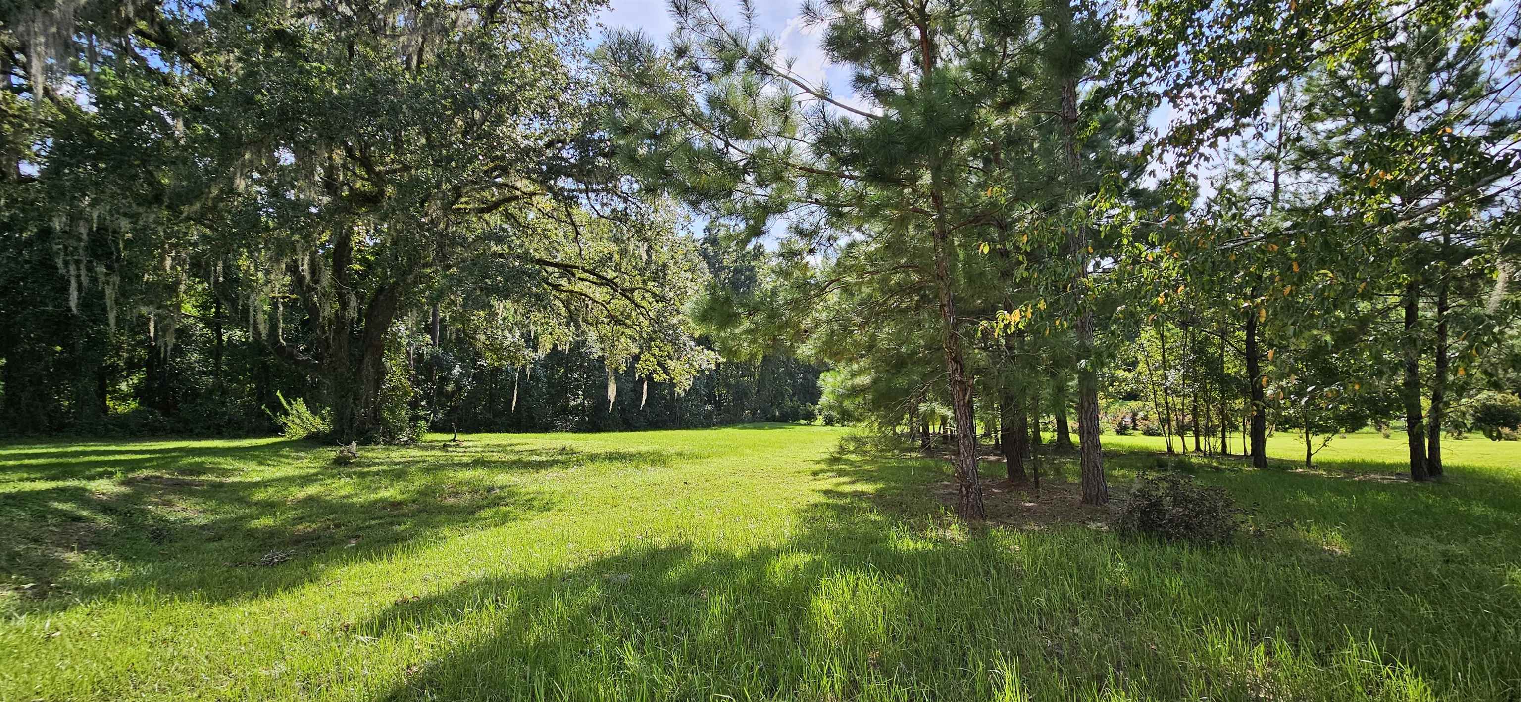 Scarlet Sage,TALLAHASSEE,Florida 32311,Lots and land,Scarlet Sage,369391