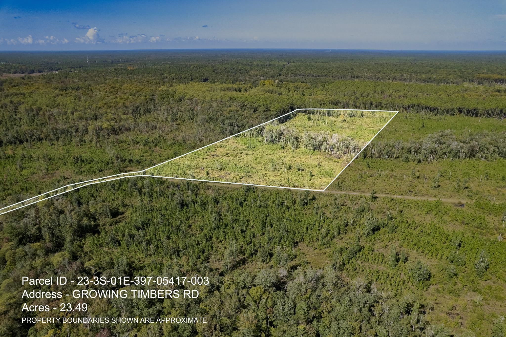 Lot 3 Growing Timbers,CRAWFORDVILLE,Florida 32327,Lots and land,Growing Timbers,363221