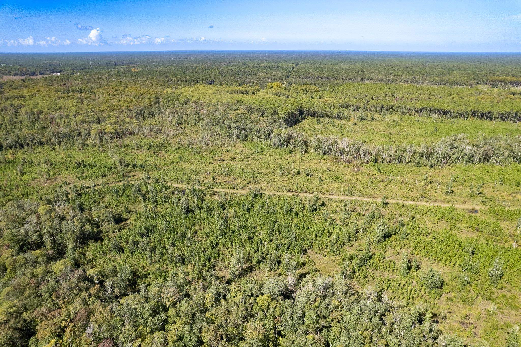 Lot 3 Growing Timbers,CRAWFORDVILLE,Florida 32327,Lots and land,Growing Timbers,363221