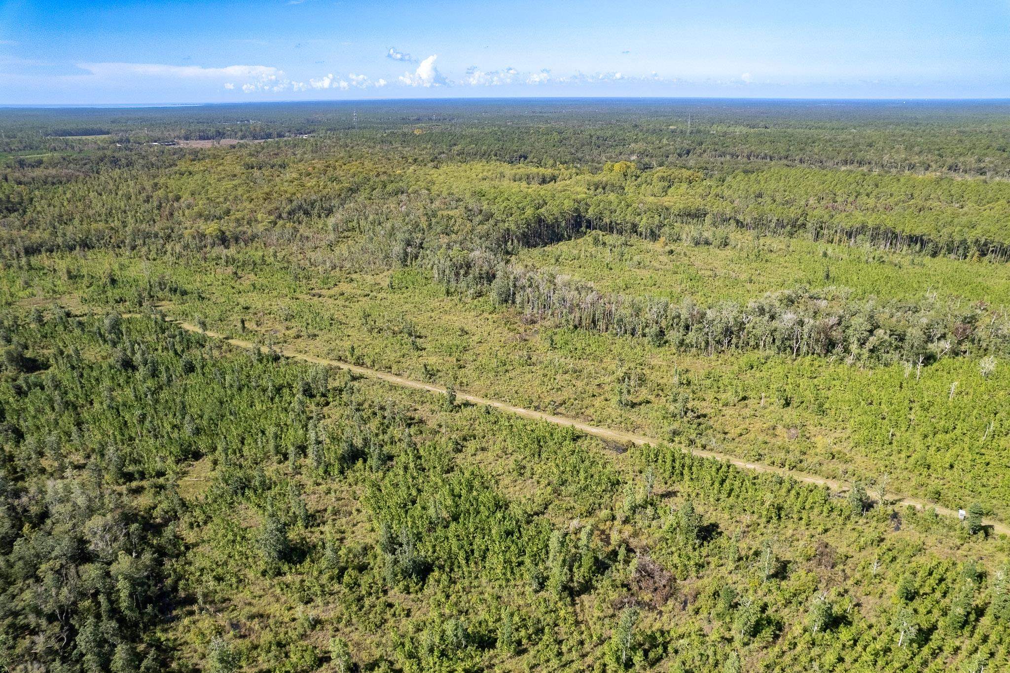 Lot 3 Growing Timbers,CRAWFORDVILLE,Florida 32327,Lots and land,Growing Timbers,363221