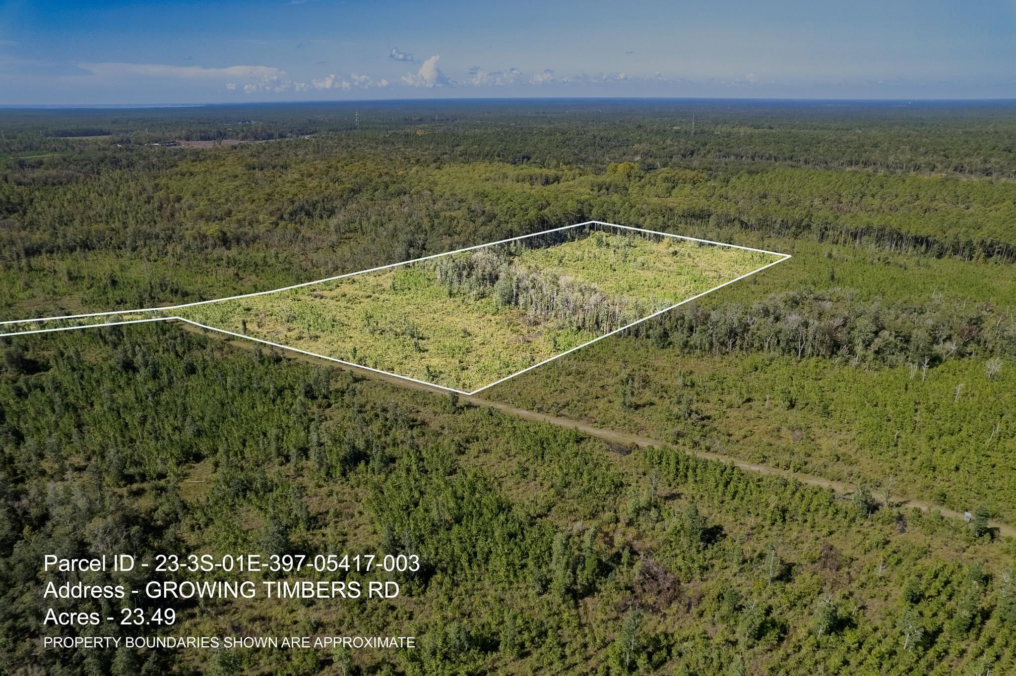 Lot 3 Growing Timbers,CRAWFORDVILLE,Florida 32327,Lots and land,Growing Timbers,363221