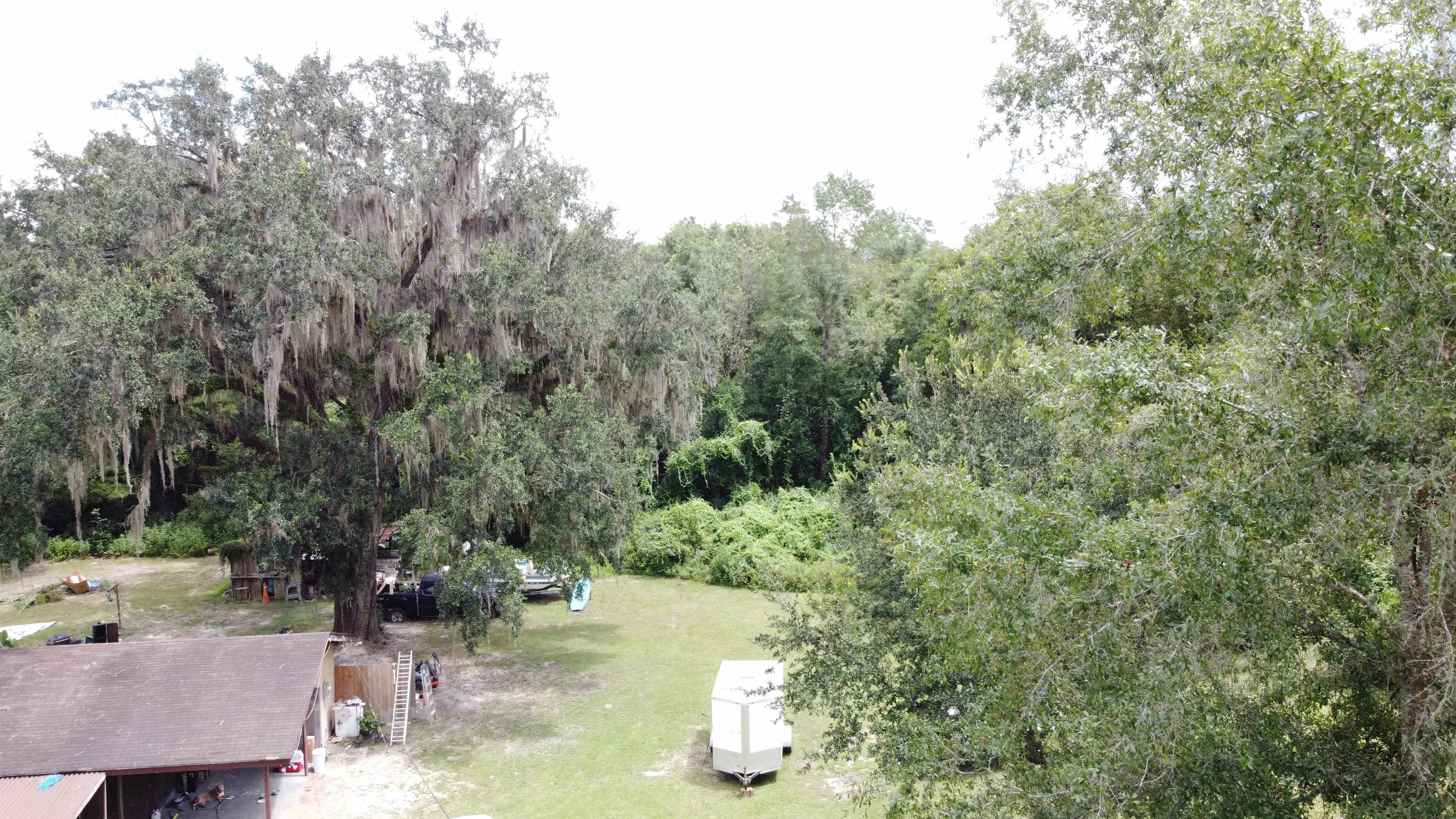 35 C L Townsend,CRAWFORDVILLE,Florida 32327,Lots and land,C L Townsend,369397