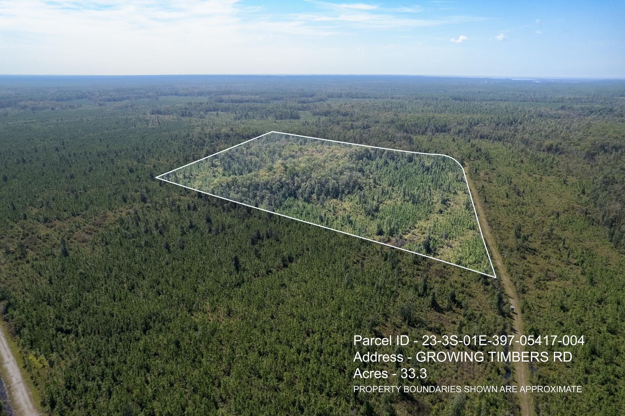 Lot 4 Growing Timbers,CRAWFORDVILLE,Florida 32327,Lots and land,Growing Timbers,363222