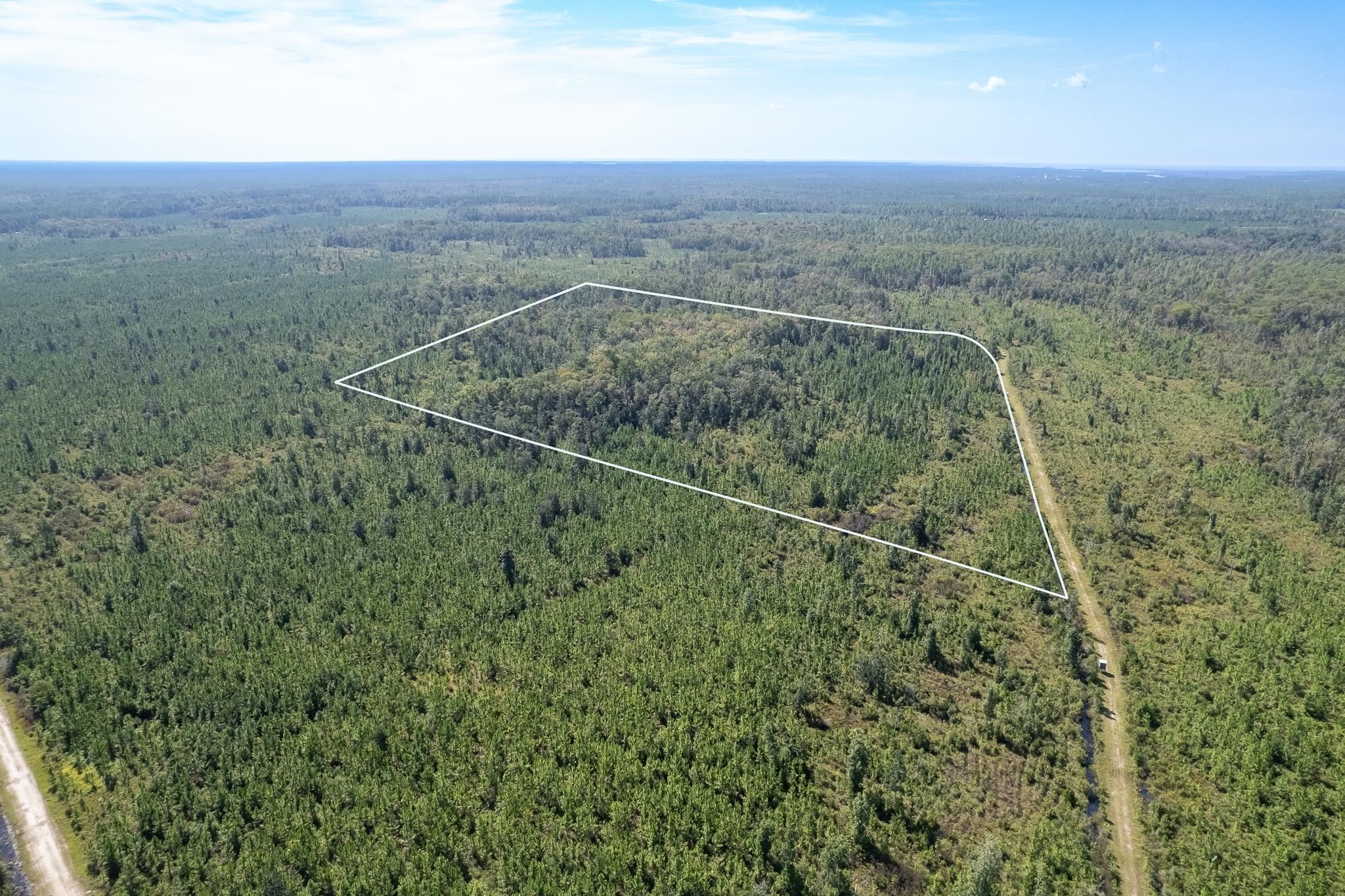 Lot 4 Growing Timbers,CRAWFORDVILLE,Florida 32327,Lots and land,Growing Timbers,363222