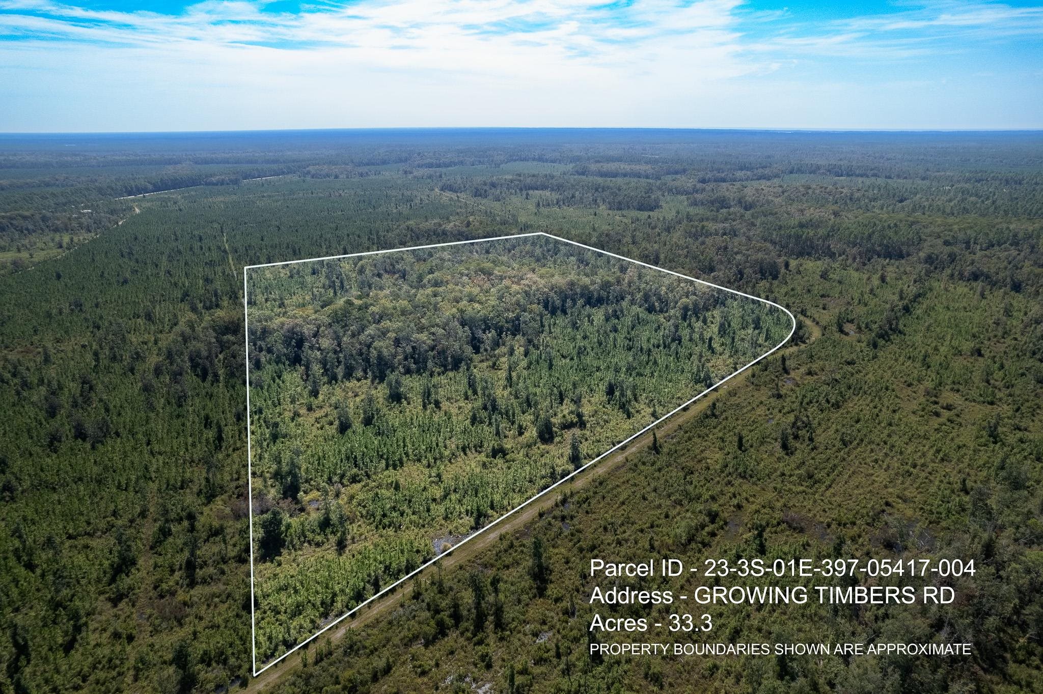 Lot 4 Growing Timbers,CRAWFORDVILLE,Florida 32327,Lots and land,Growing Timbers,363222