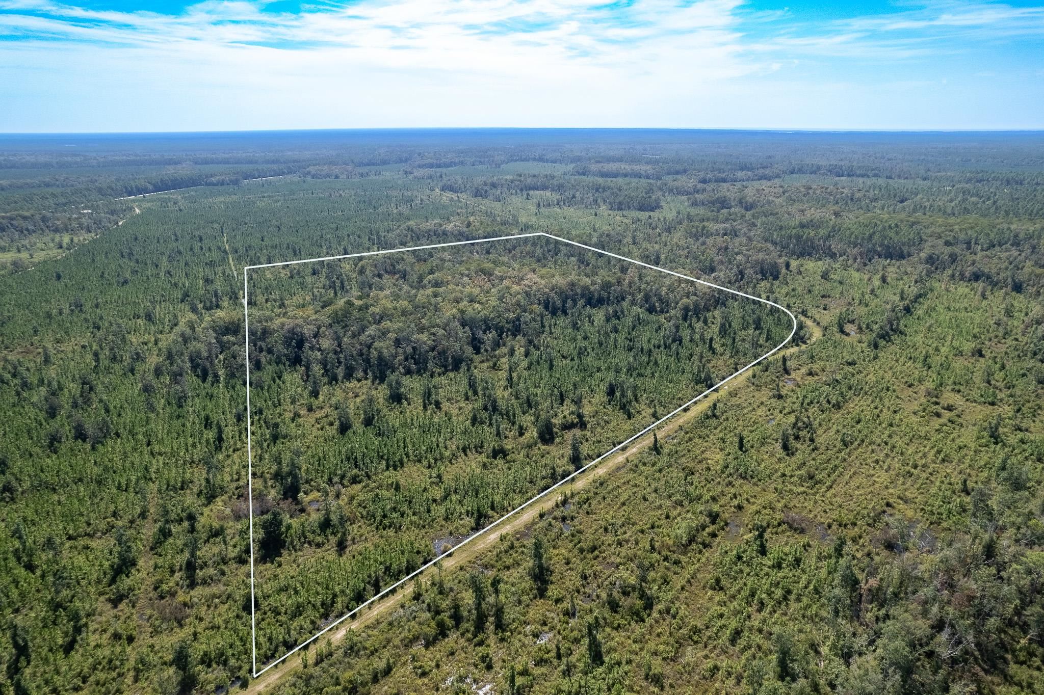 Lot 4 Growing Timbers,CRAWFORDVILLE,Florida 32327,Lots and land,Growing Timbers,363222