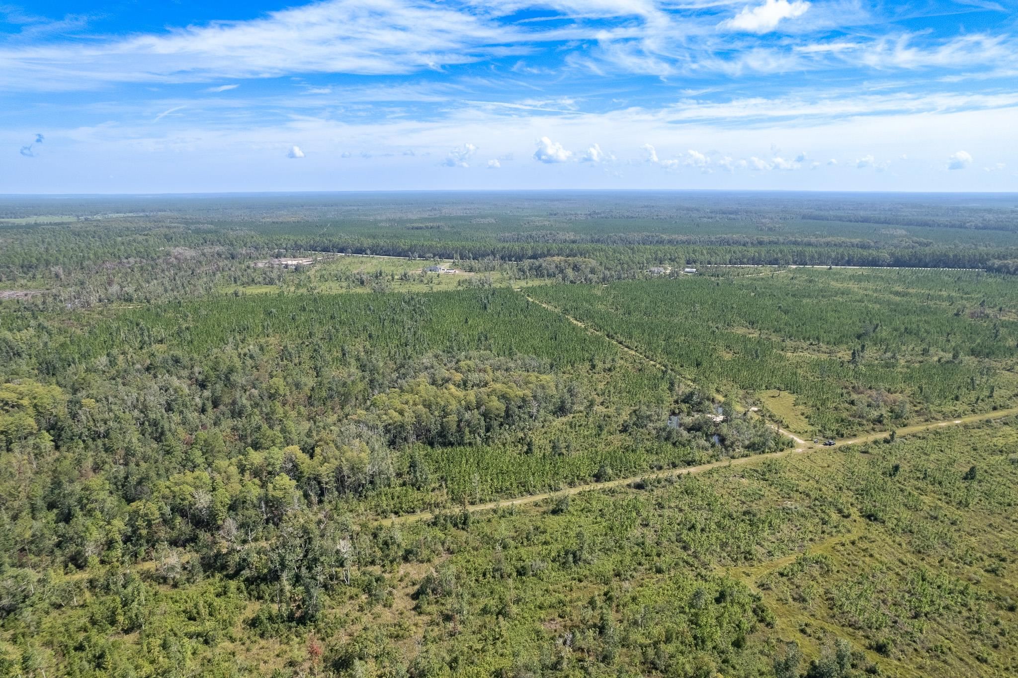 Lot 7 Barn Feed,CRAWFORDVILLE,Florida 32327,Lots and land,Barn Feed,363225