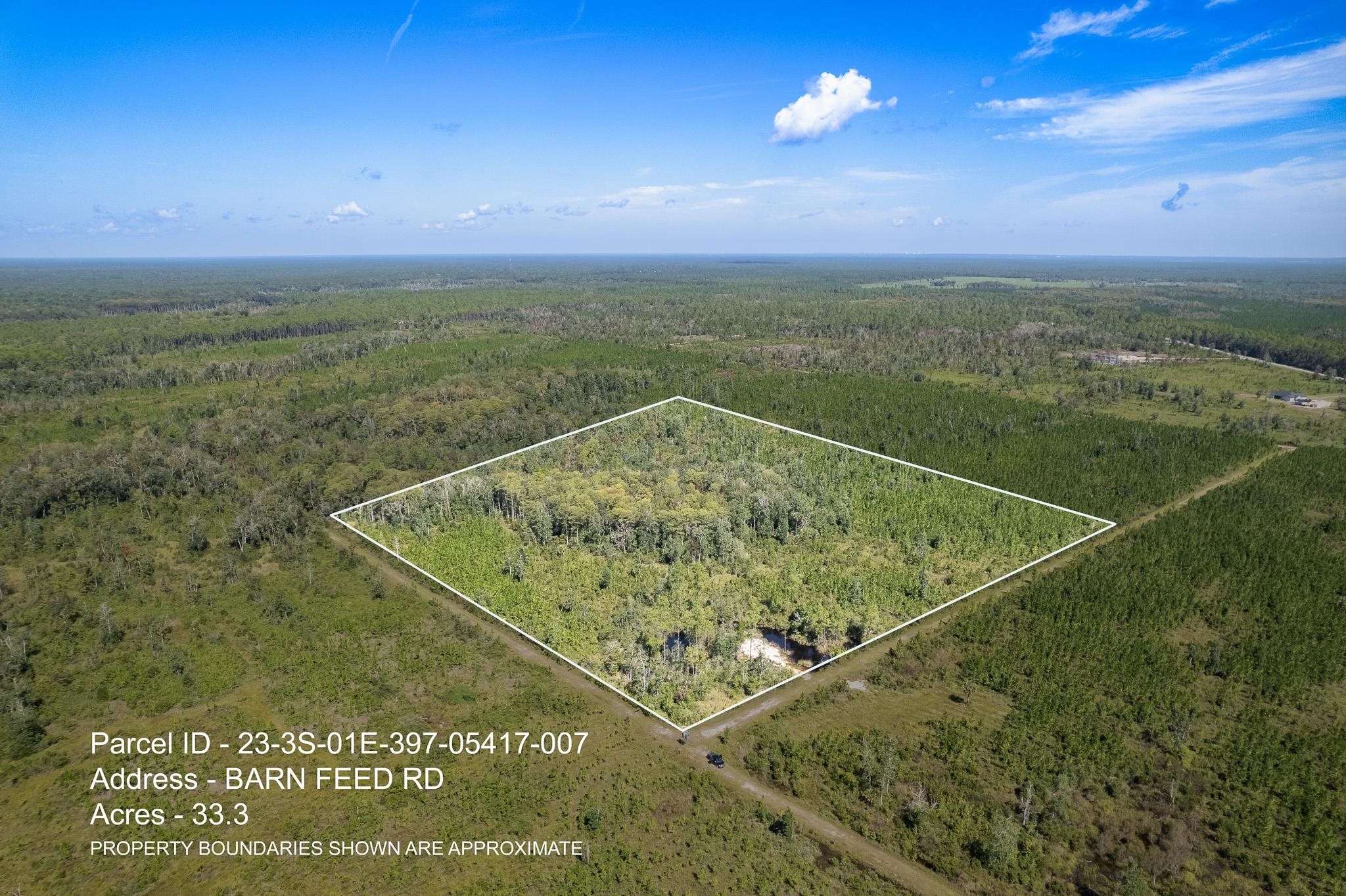 Lot 7 Barn Feed,CRAWFORDVILLE,Florida 32327,Lots and land,Barn Feed,363225