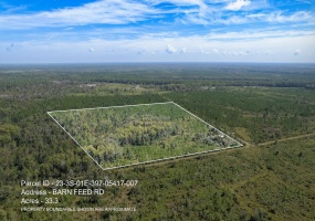 Lot 7 Barn Feed,CRAWFORDVILLE,Florida 32327,Lots and land,Barn Feed,363225