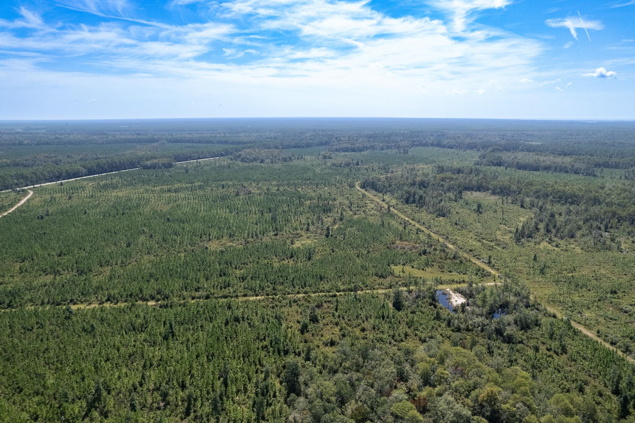 Lot 8 Barn Feed,CRAWFORDVILLE,Florida 32327,Lots and land,Barn Feed,363229