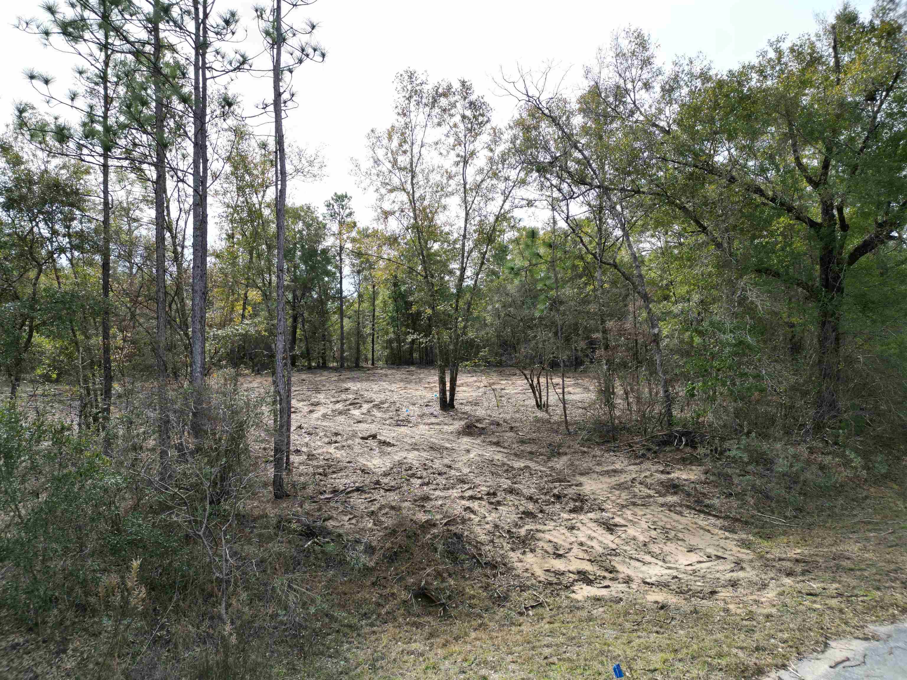 Arnone,CHIPLEY,Florida 32428,Lots and land,Arnone,367208