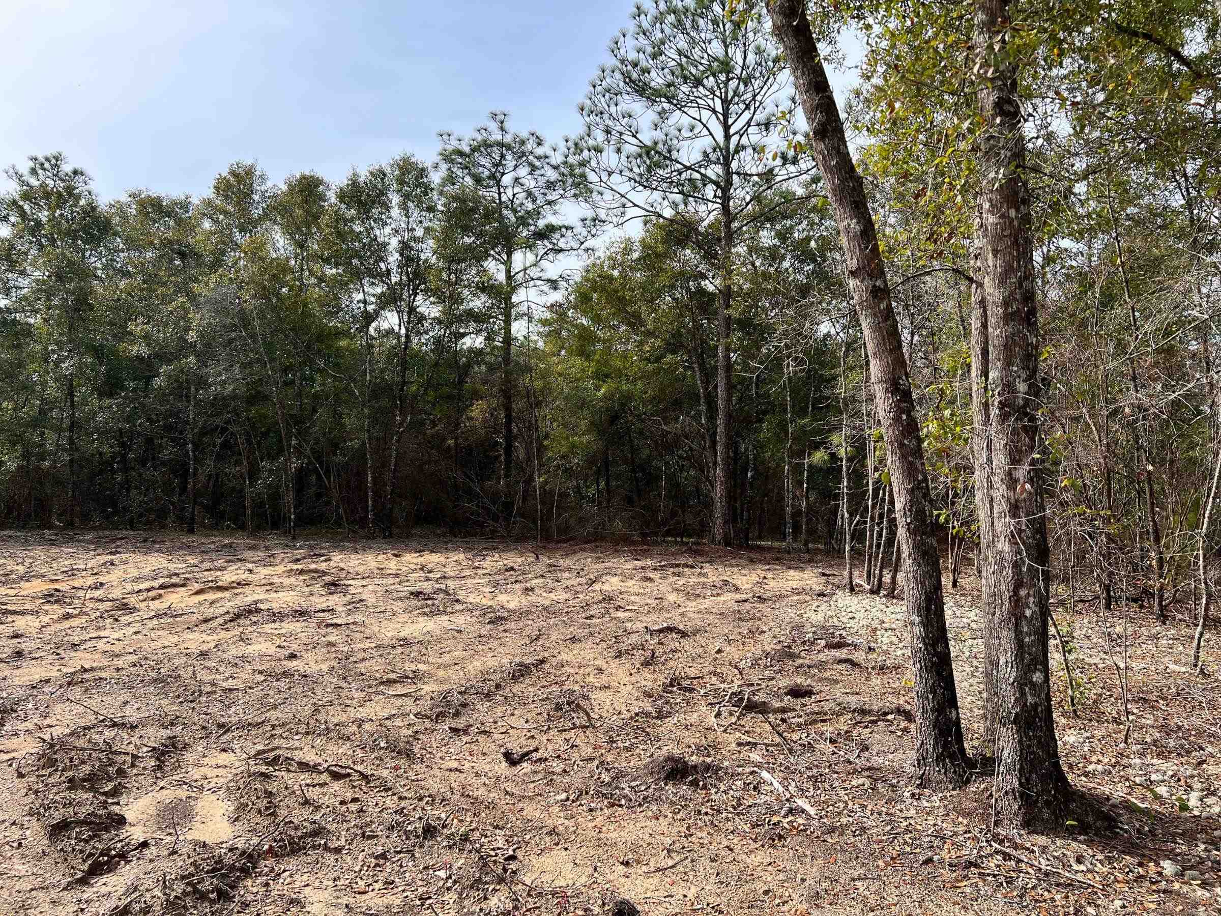 Arnone,CHIPLEY,Florida 32428,Lots and land,Arnone,367208