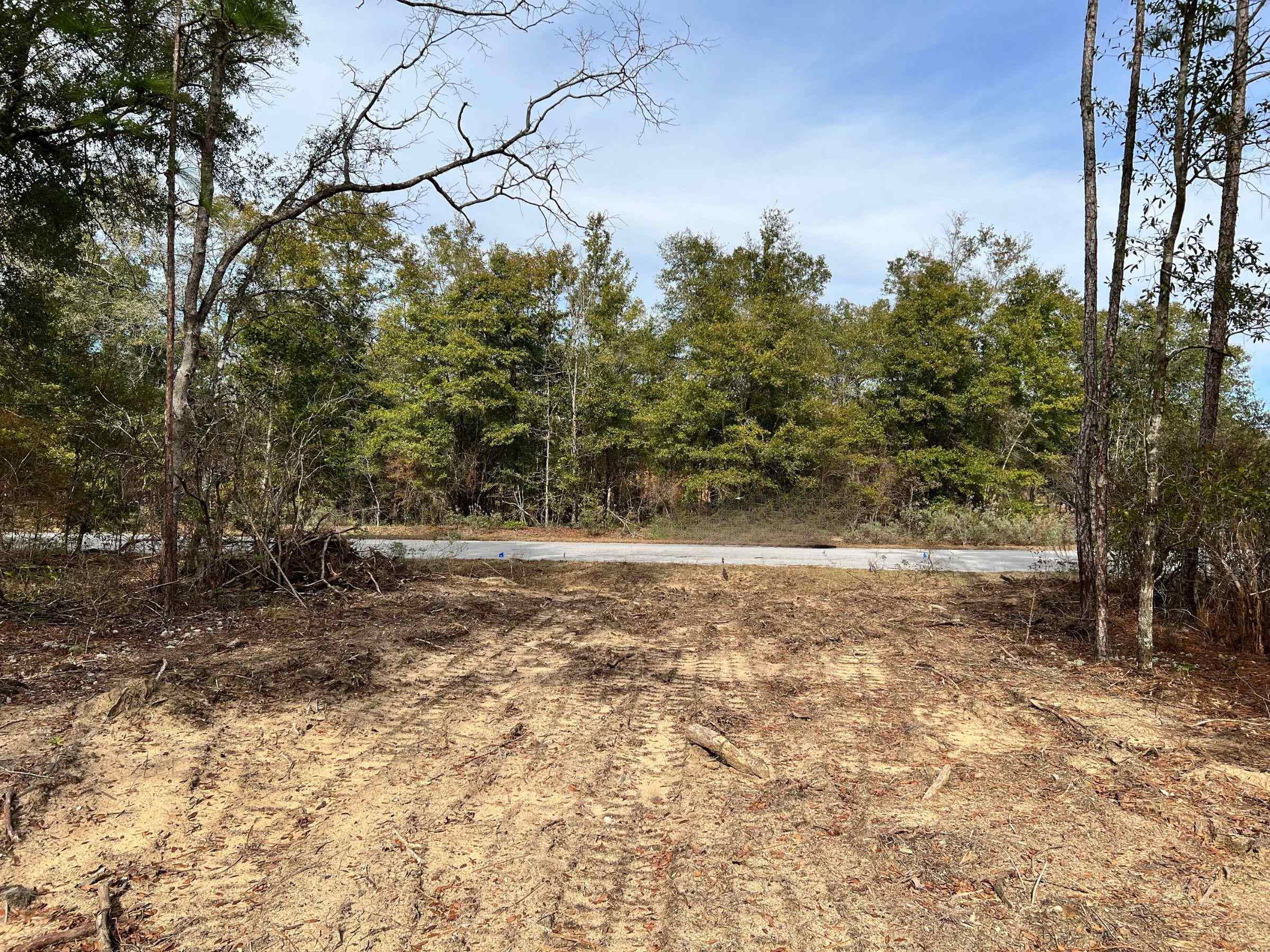 Arnone,CHIPLEY,Florida 32428,Lots and land,Arnone,367208