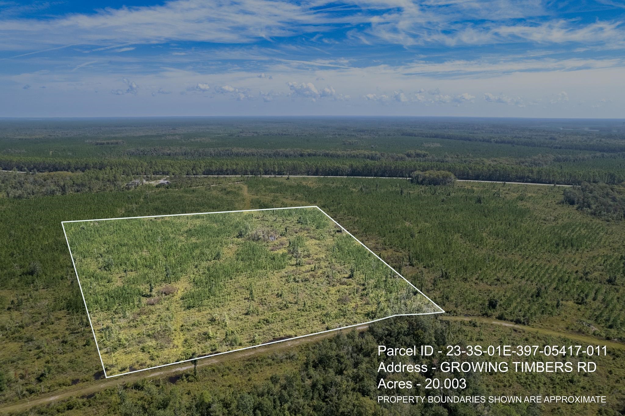 Lot 11 Growing Timbers,CRAWFORDVILLE,Florida 32327,Lots and land,Growing Timbers,363249