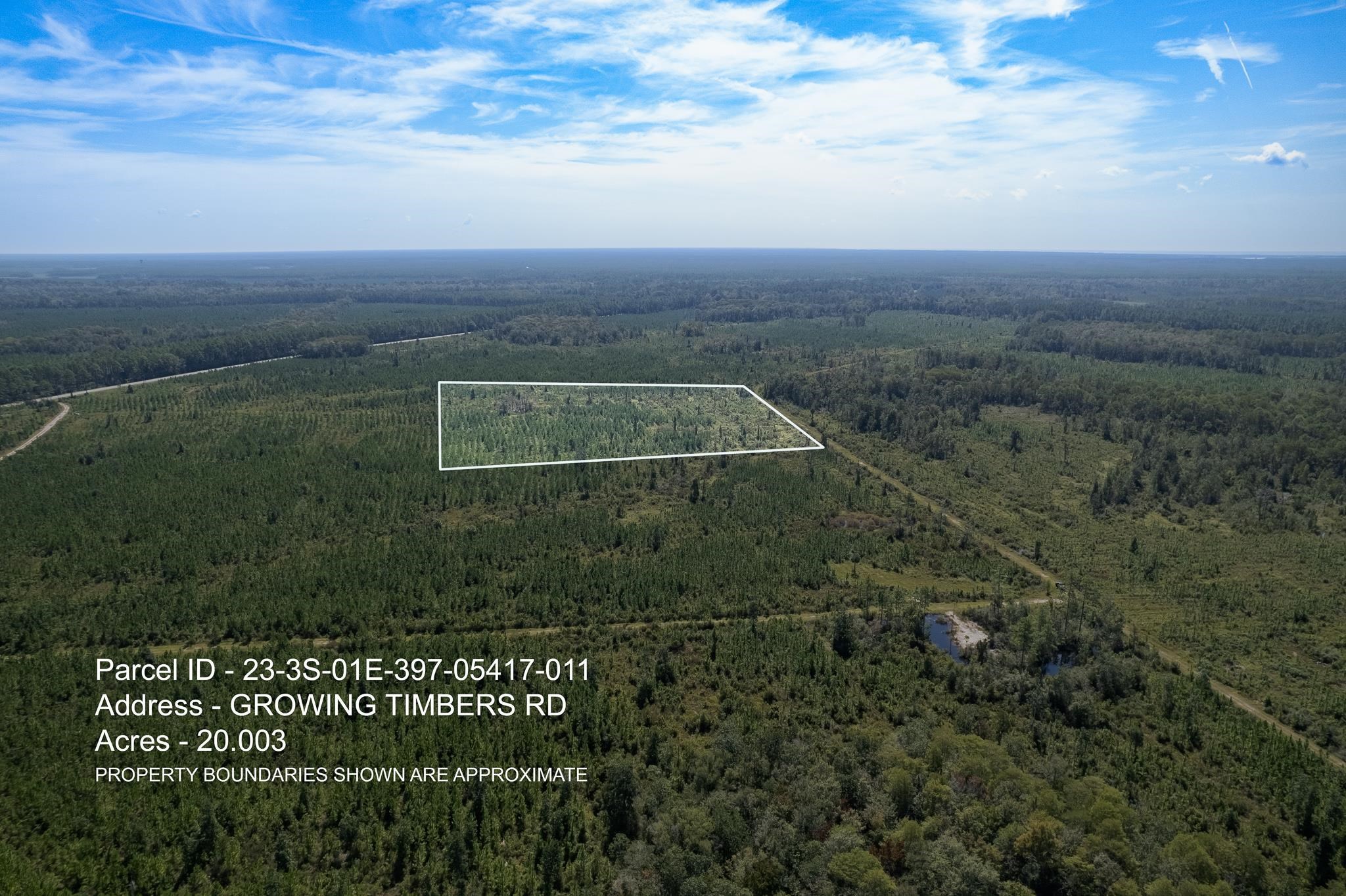 Lot 11 Growing Timbers,CRAWFORDVILLE,Florida 32327,Lots and land,Growing Timbers,363249