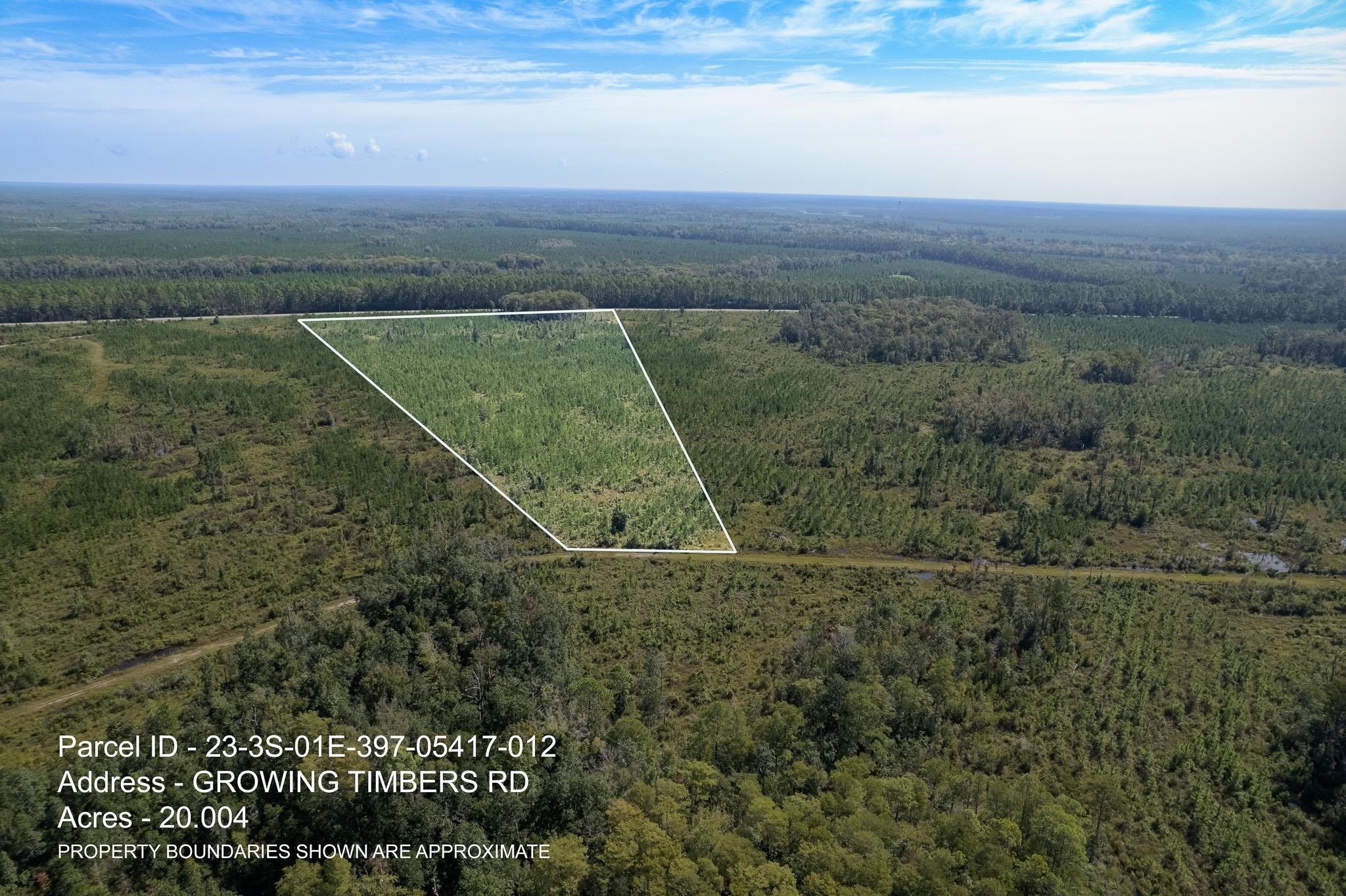 Lot 12 Growing Timbers,CRAWFORDVILLE,Florida 32327,Lots and land,Growing Timbers,363250