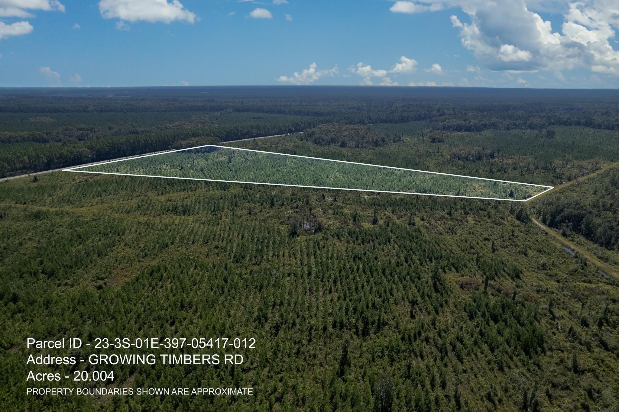 Lot 12 Growing Timbers,CRAWFORDVILLE,Florida 32327,Lots and land,Growing Timbers,363250