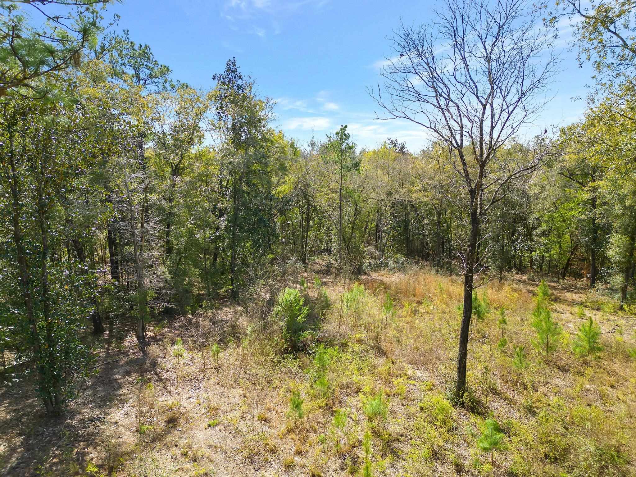 0 Oscar Harvey,TALLAHASSEE,Florida 32310,Lots and land,Oscar Harvey,369492