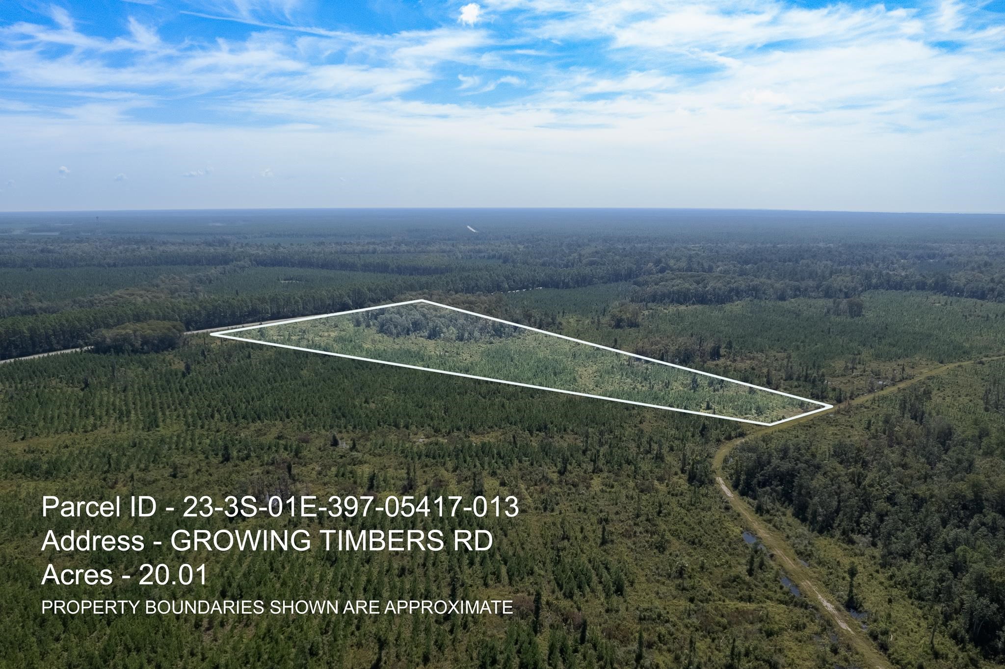 Lot 13 Growing Timbers,CRAWFORDVILLE,Florida 32327,Lots and land,Growing Timbers,363252