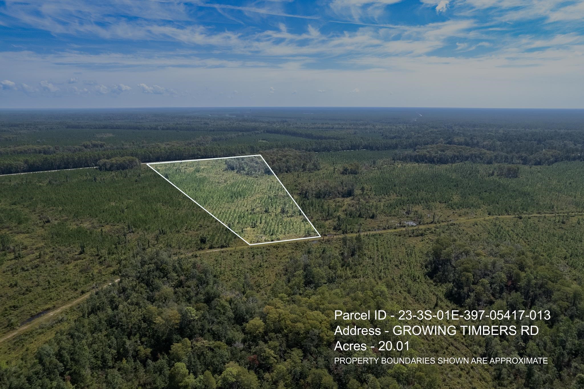 Lot 13 Growing Timbers,CRAWFORDVILLE,Florida 32327,Lots and land,Growing Timbers,363252