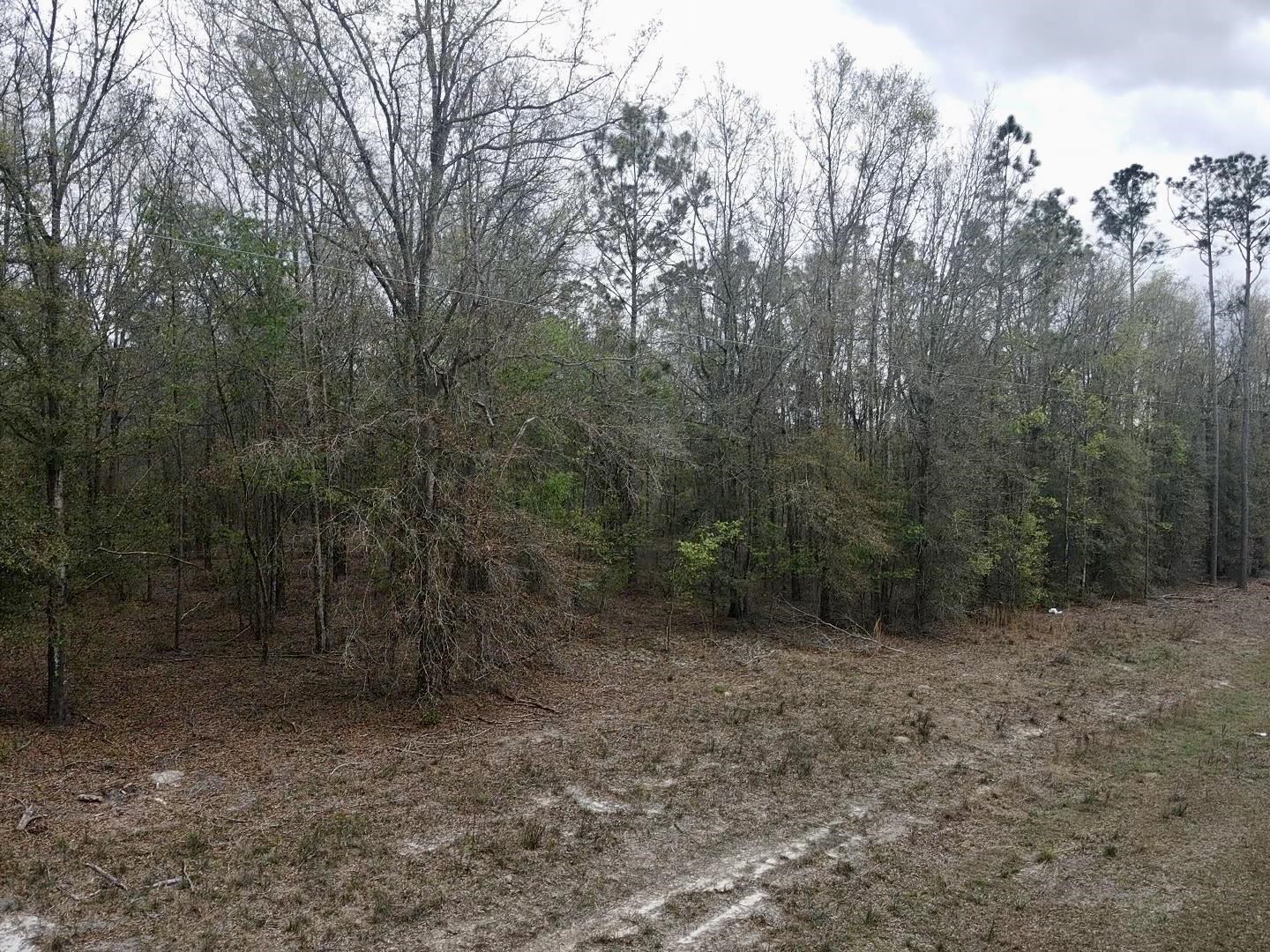 1359 Hammerly,LEE,Florida 32059,Lots and land,Hammerly,369518