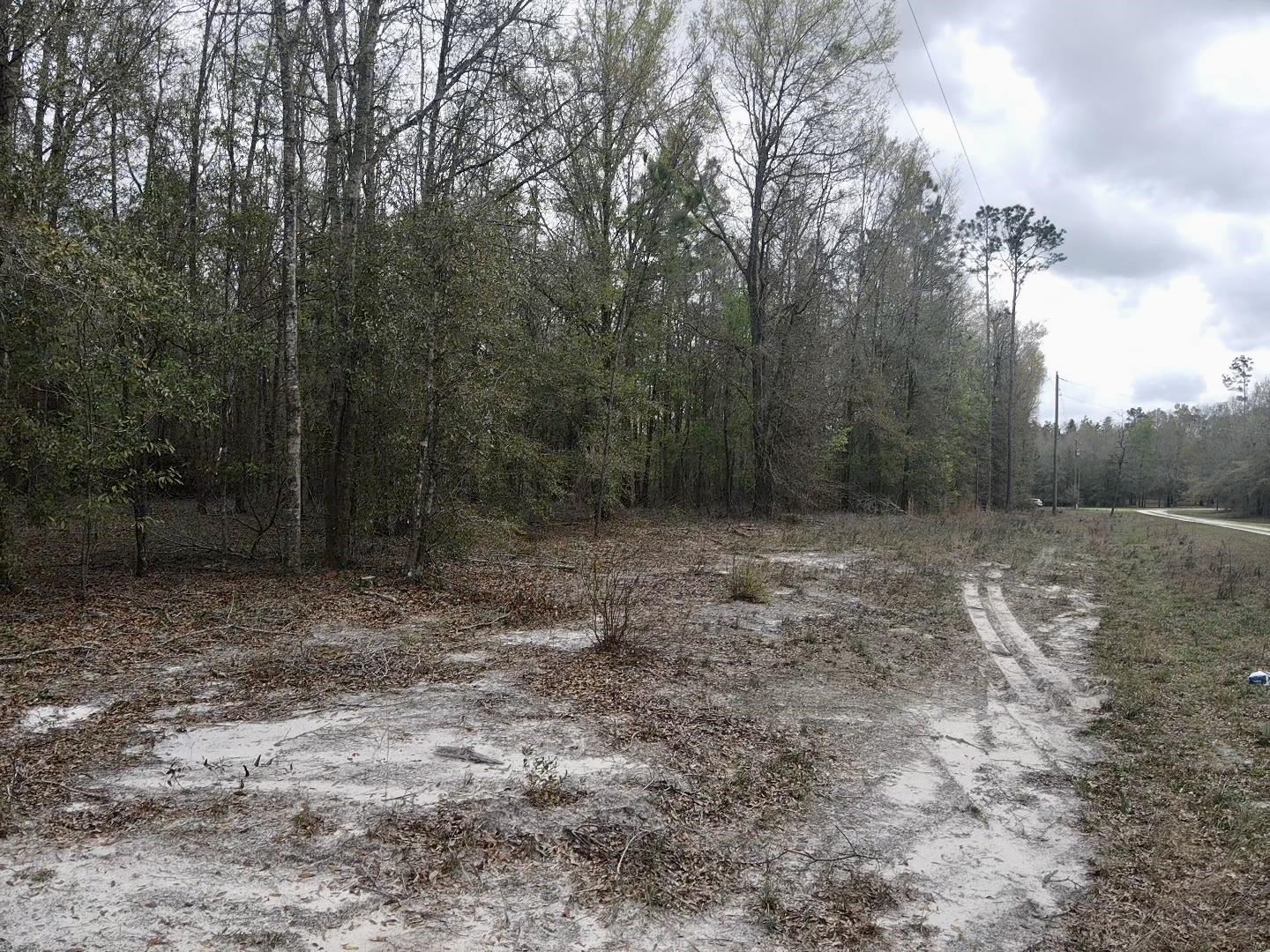 1359 Hammerly,LEE,Florida 32059,Lots and land,Hammerly,369518